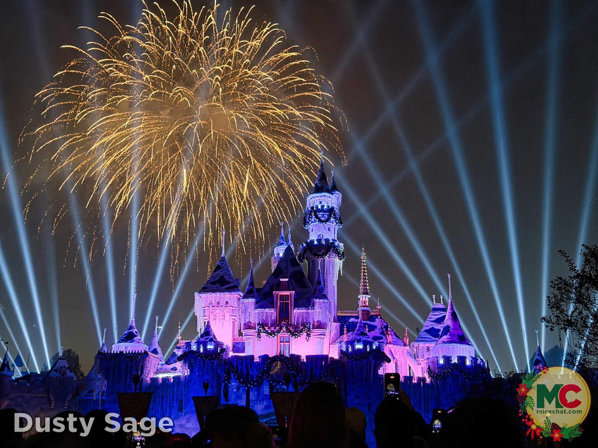 , DISNEYLAND UPDATE: Blocked Out, Rained On & What Comes Next