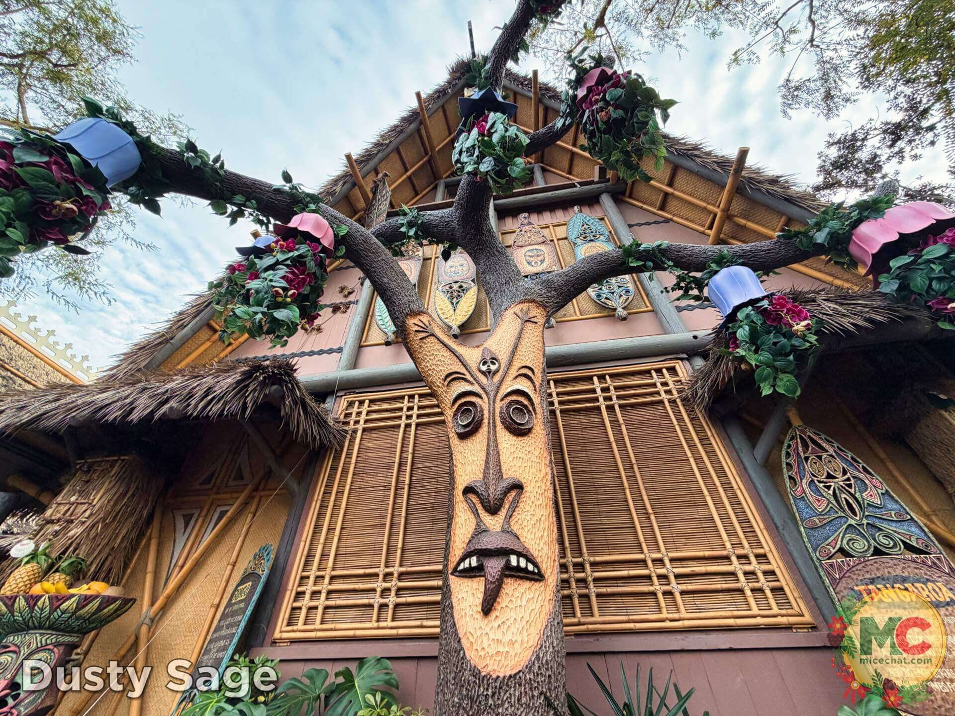 , DISNEYLAND UPDATE: Blocked Out, Rained On & What Comes Next