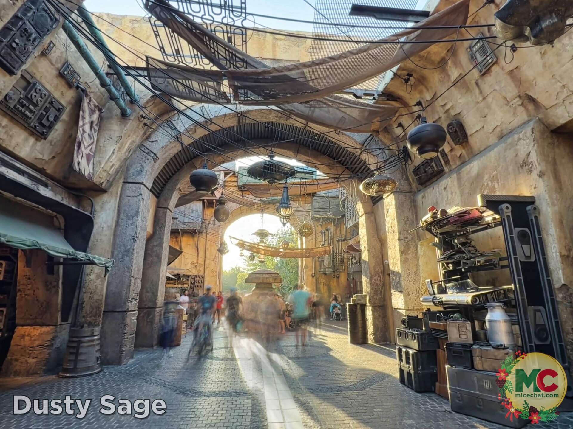 Disneyland News, DISNEYLAND UPDATE: Summer Builds, Shady Spots & Kids Rule