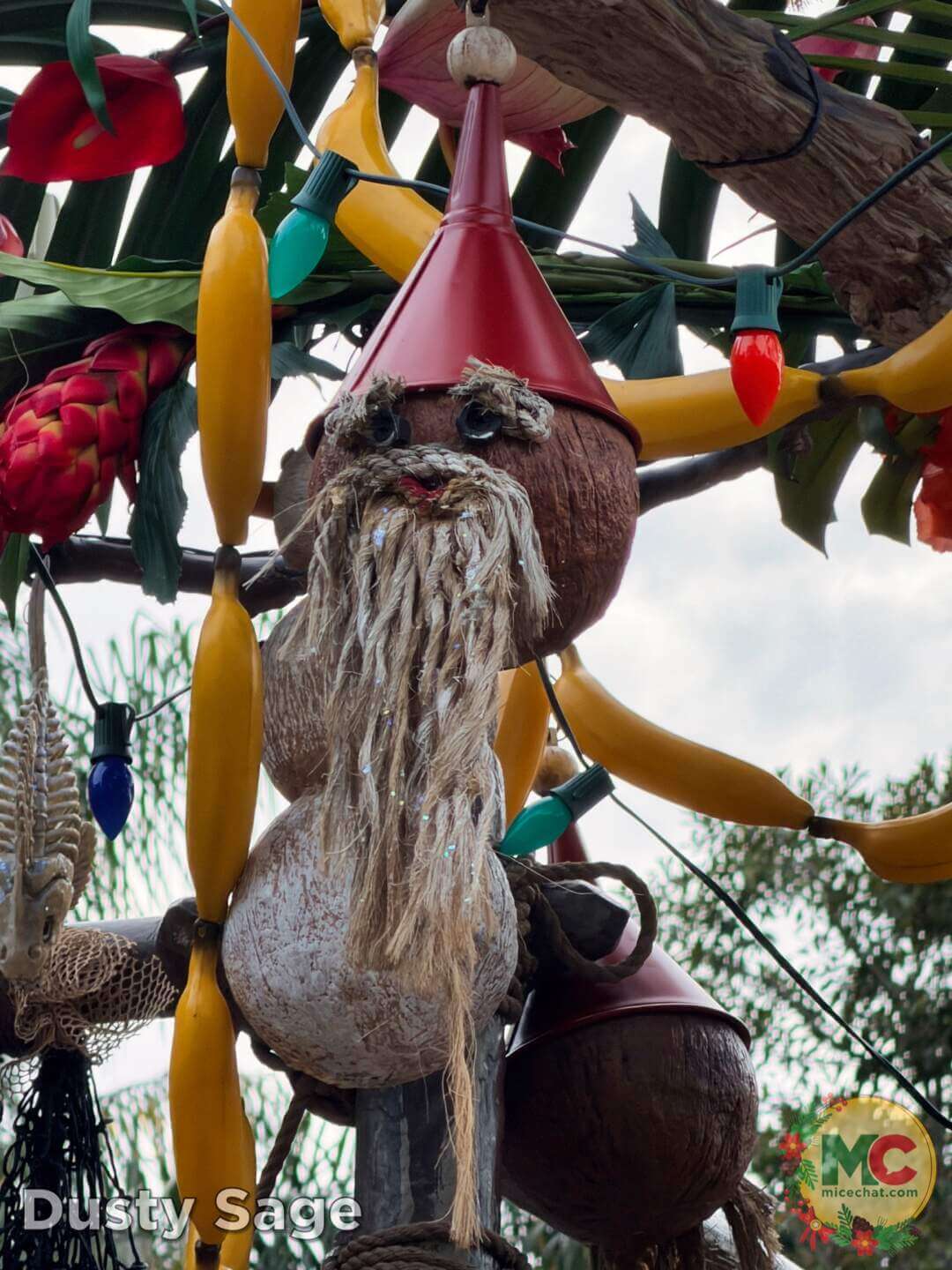 , DISNEYLAND UPDATE: Blocked Out, Rained On & What Comes Next