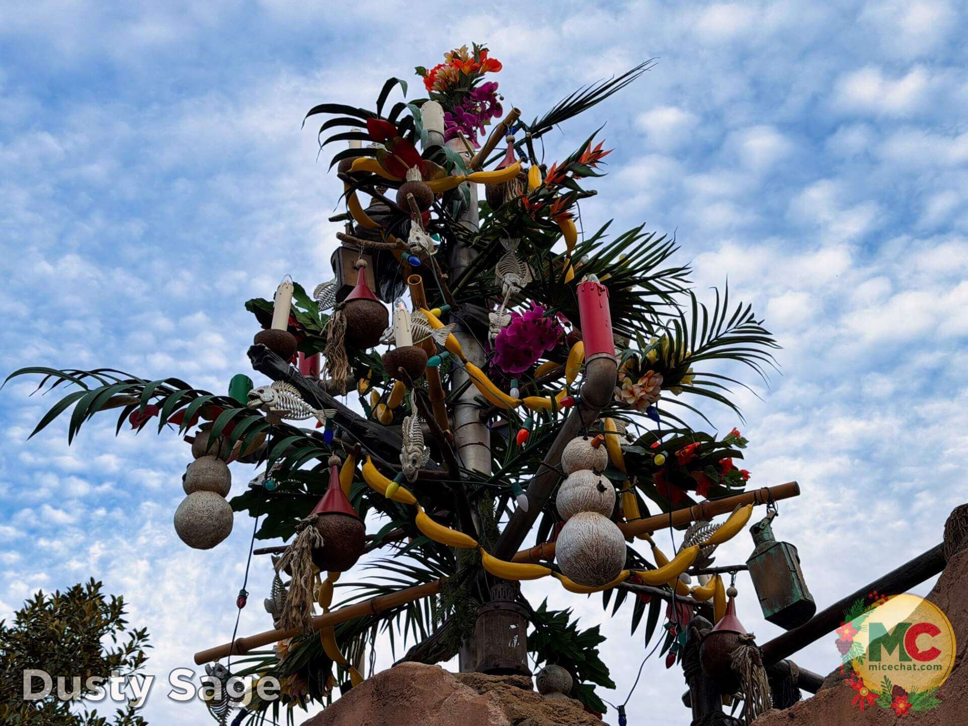 , DISNEYLAND UPDATE: Blocked Out, Rained On & What Comes Next