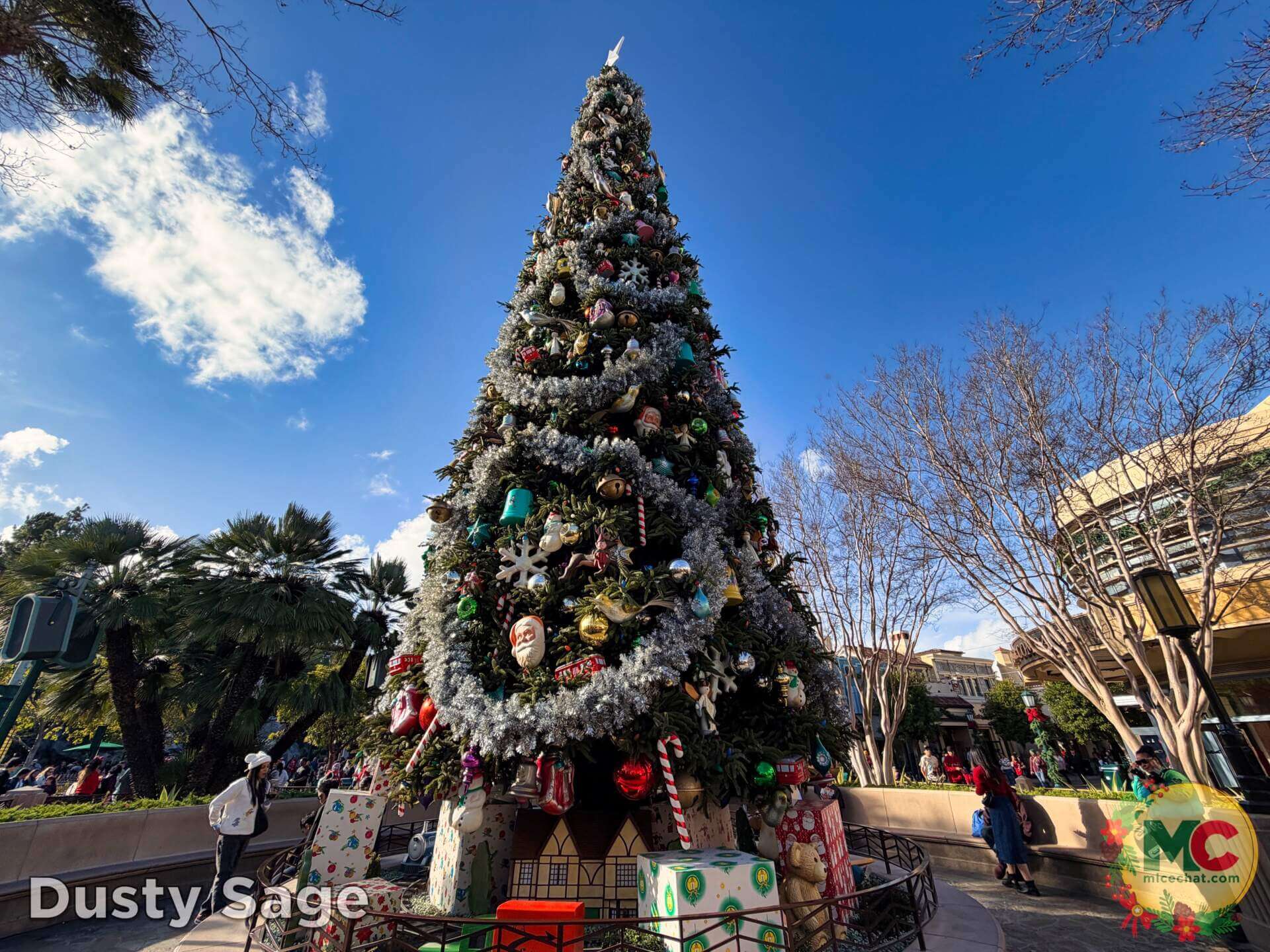 , DISNEYLAND UPDATE: Blocked Out, Rained On & What Comes Next