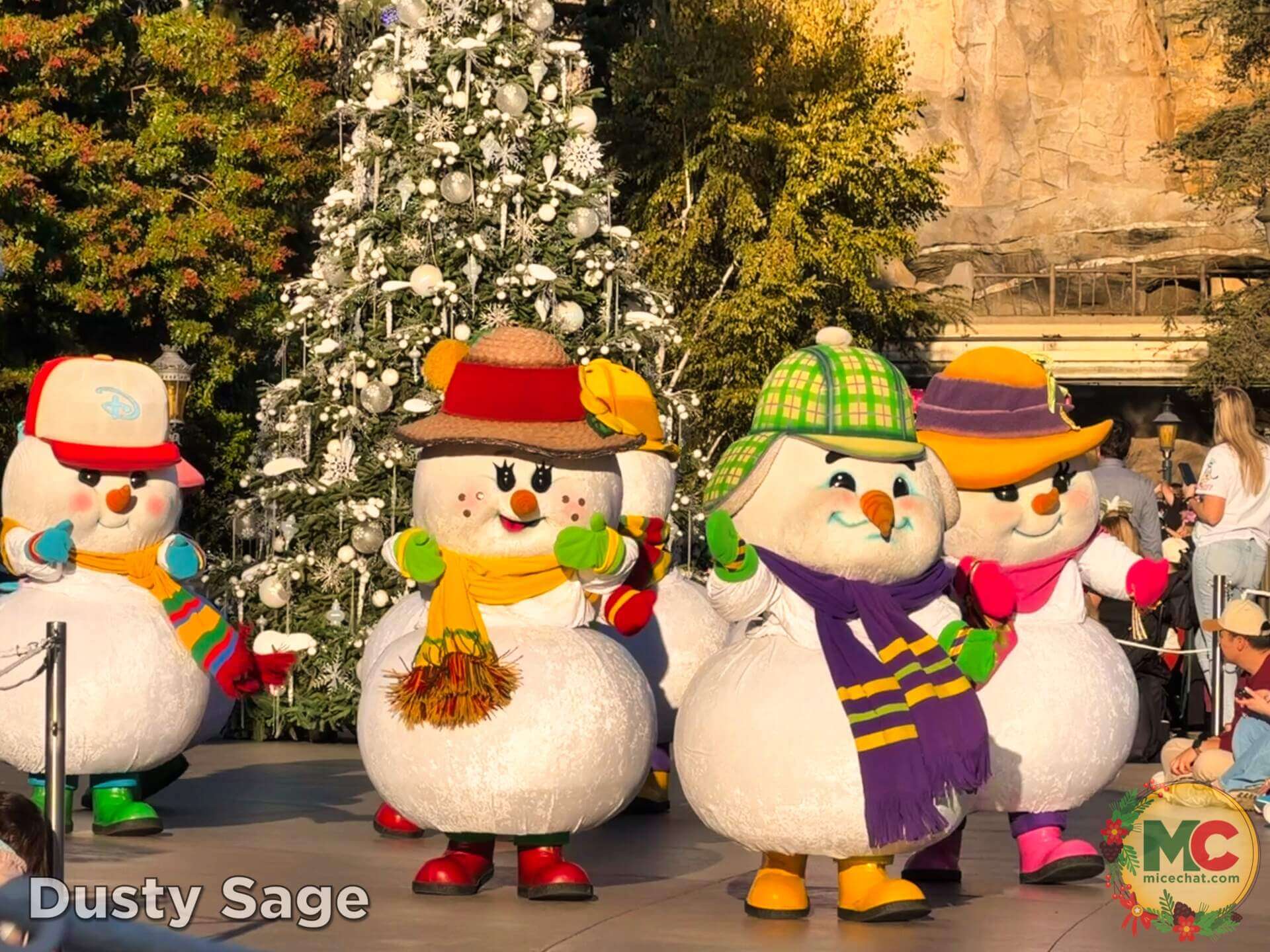 , DISNEYLAND UPDATE: Christmas Shines, Magic Key Shakeup & Suite Surprises