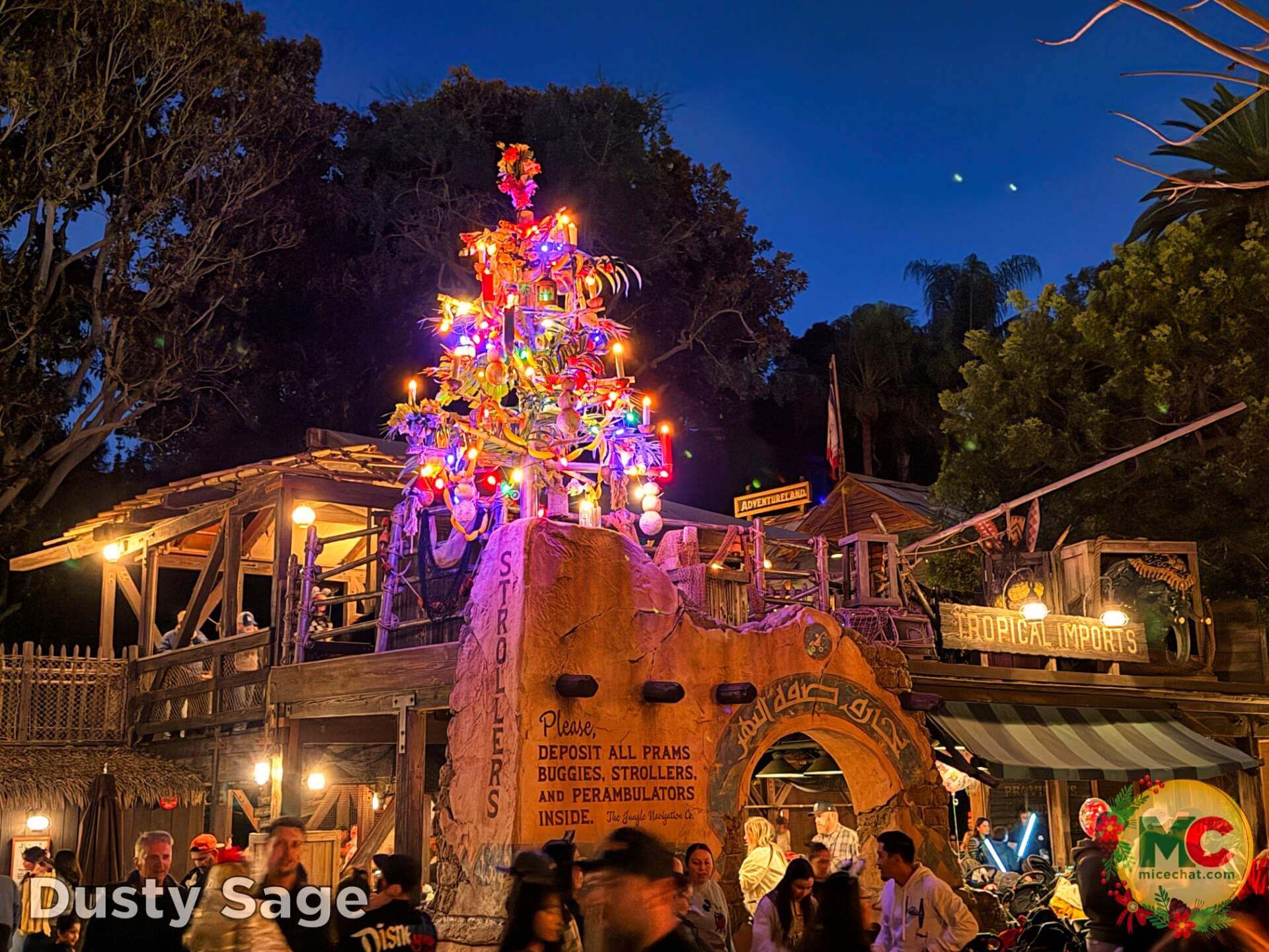 , DISNEYLAND UPDATE: Christmas Shines, Magic Key Shakeup & Suite Surprises