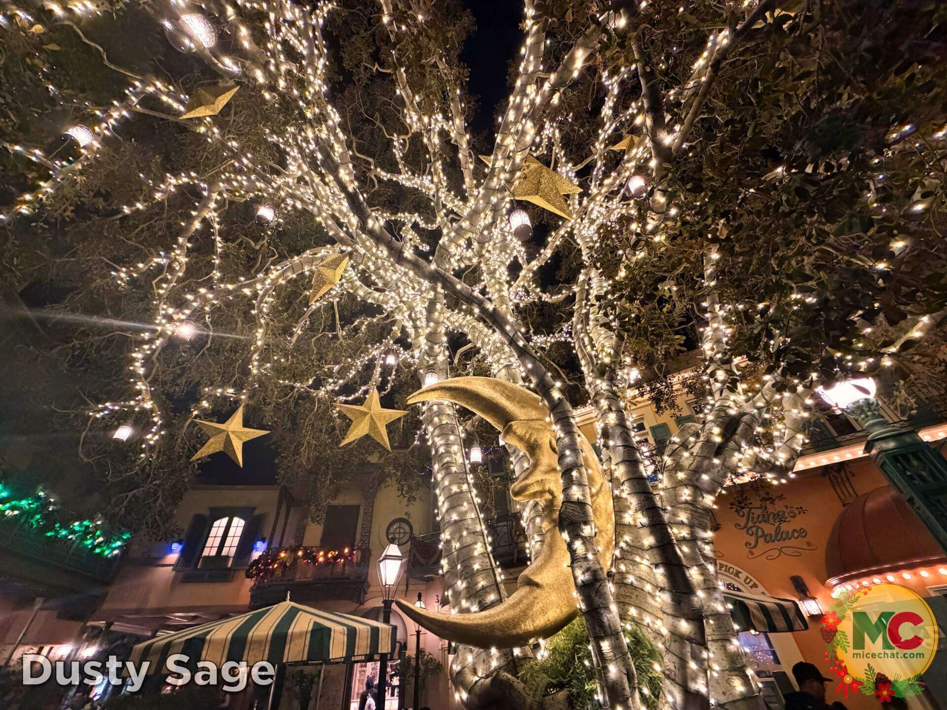 , DISNEYLAND UPDATE: Christmas Shines, Magic Key Shakeup & Suite Surprises