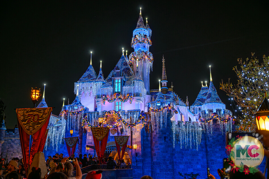 , DISNEYLAND UPDATE: Blocked Out, Rained On & What Comes Next
