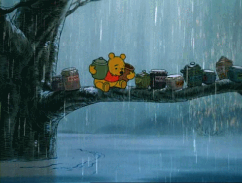 , DISNEYLAND UPDATE: Blocked Out, Rained On & What Comes Next