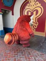 DCA-LNY-Red-Panda-Mei-2