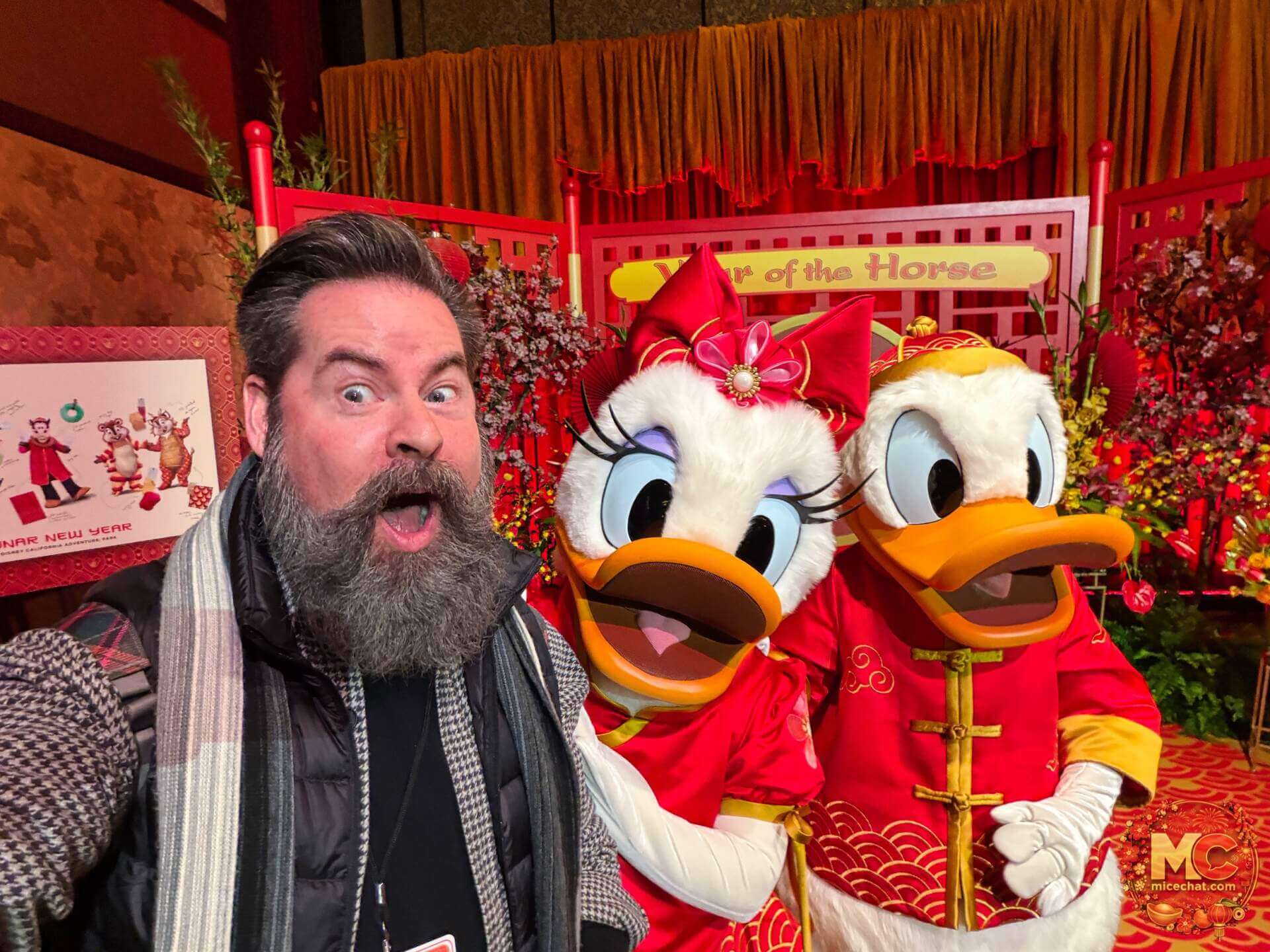 , DISNEYLAND UPDATE: Lunar Lights, Sweethearts Nite & Construction Heights