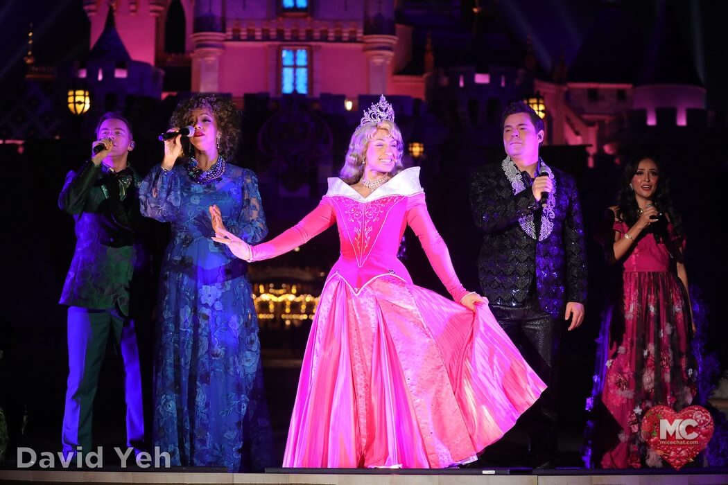 , DISNEYLAND UPDATE: Lunar Lights, Sweethearts Nite & Construction Heights