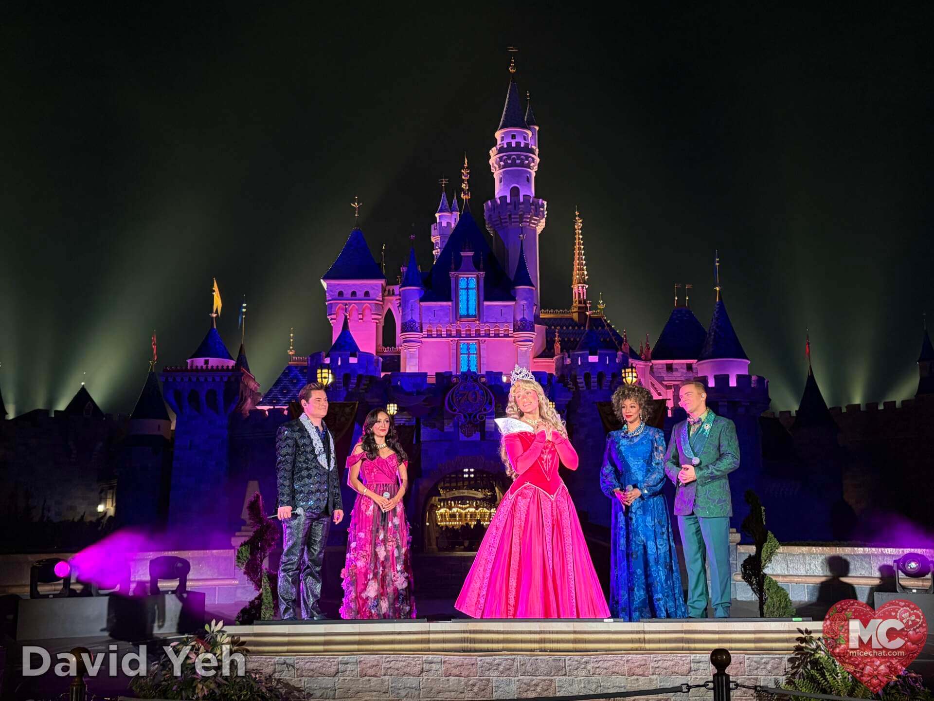 , DISNEYLAND UPDATE: Lunar Lights, Sweethearts Nite & Construction Heights