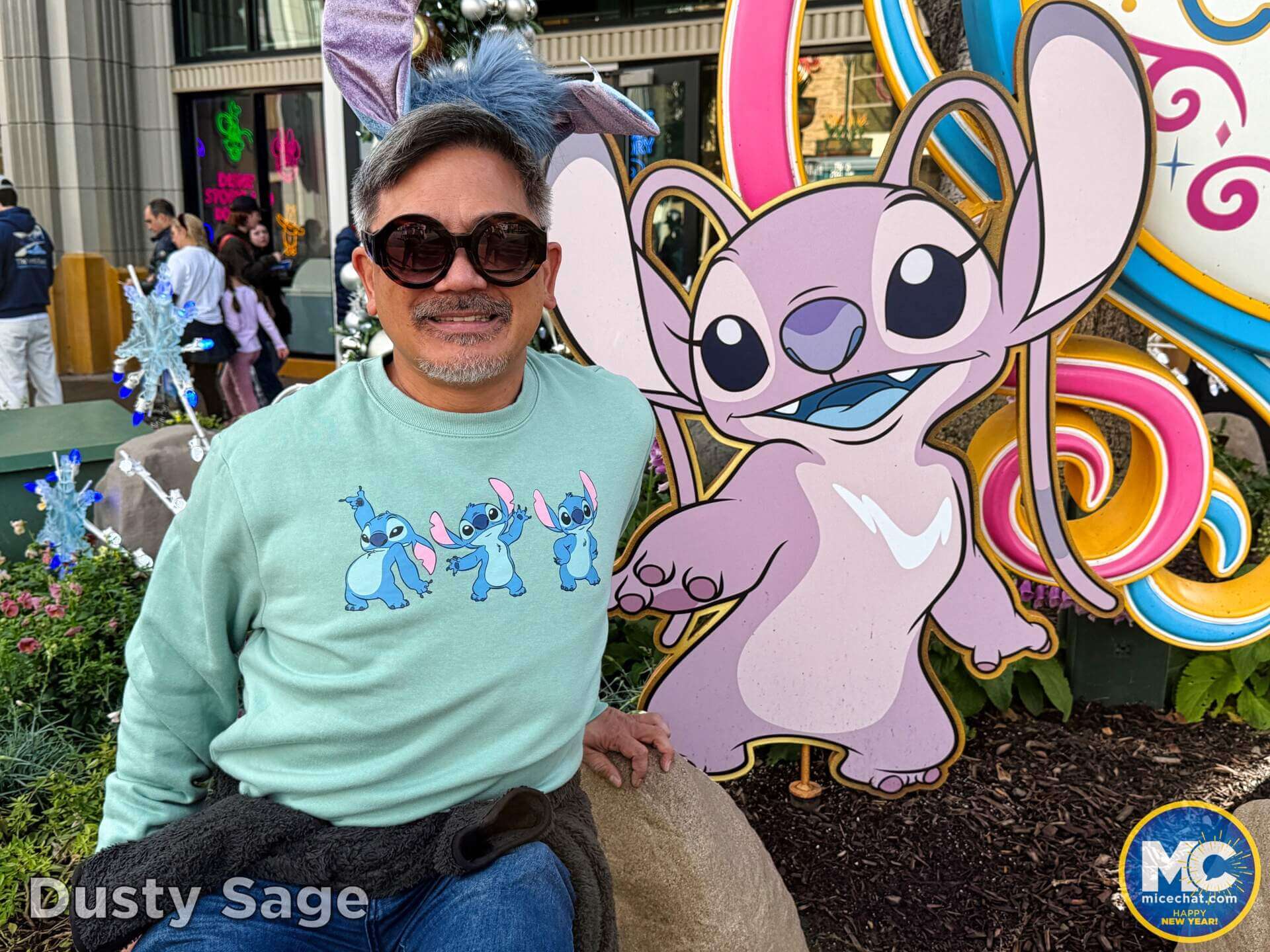 Disneyland, DISNEYLAND UPDATE: Soggy New Year, Perks Slashed & Blues Brewing