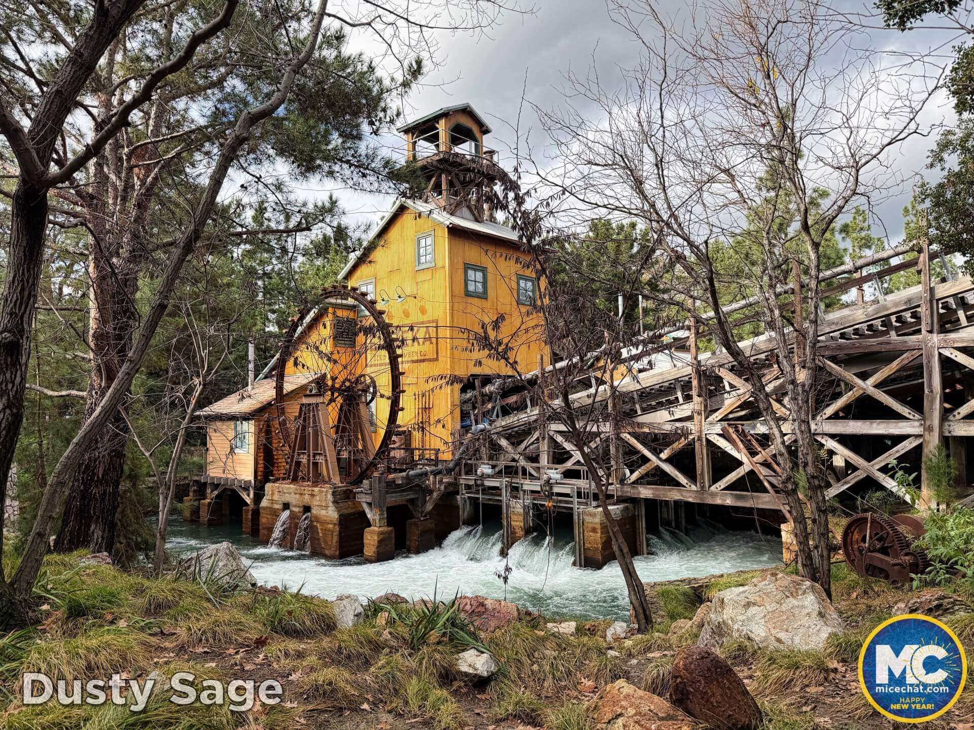 Disneyland, DISNEYLAND UPDATE: Soggy New Year, Perks Slashed & Blues Brewing