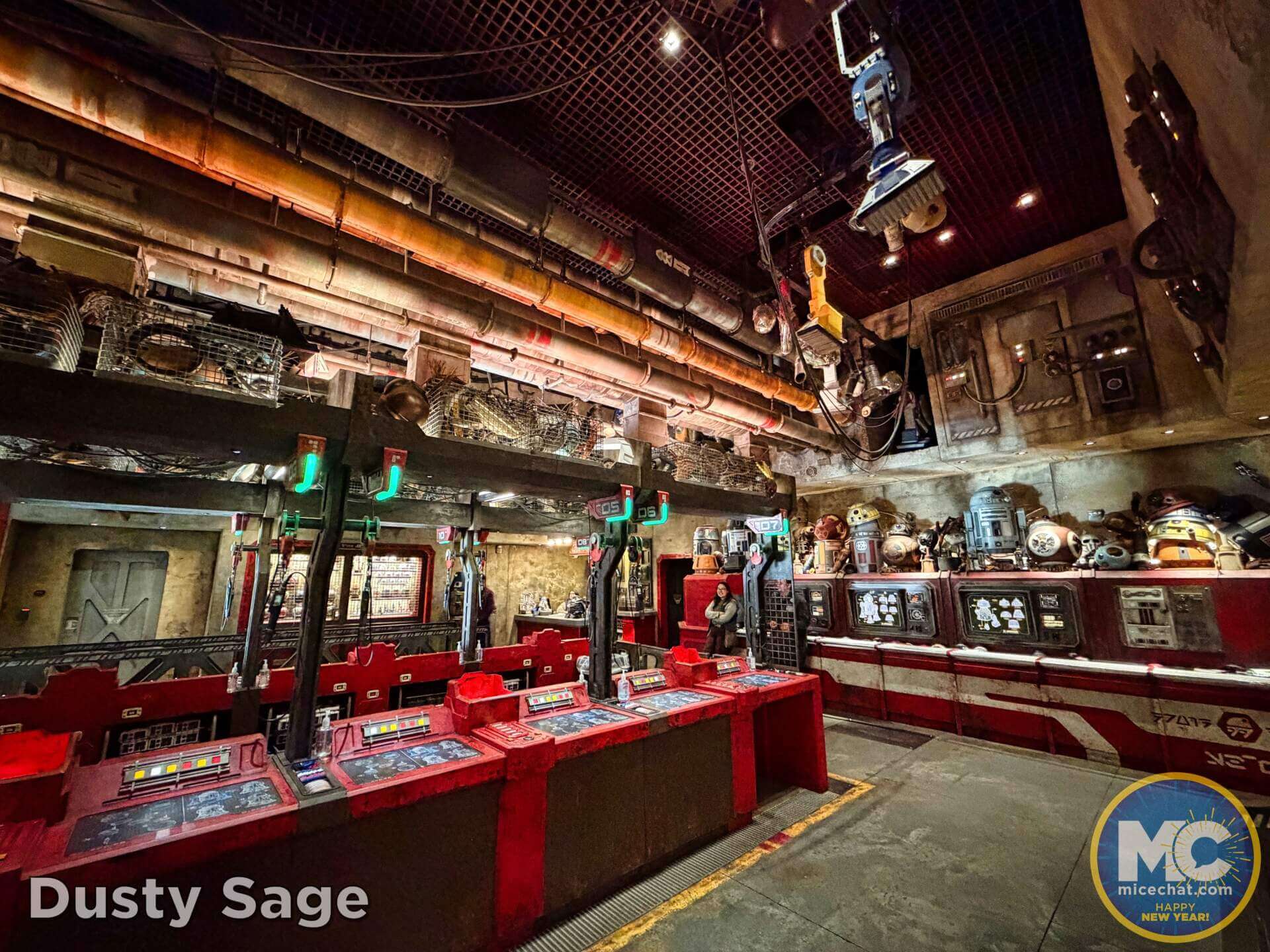 , DISNEYLAND UPDATE: Fixing the Force, Festival Season & What&rsquo;s Changing Now