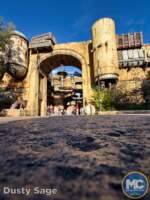 Disneyland beauty star wars galaxys edge marketplace MiceChat