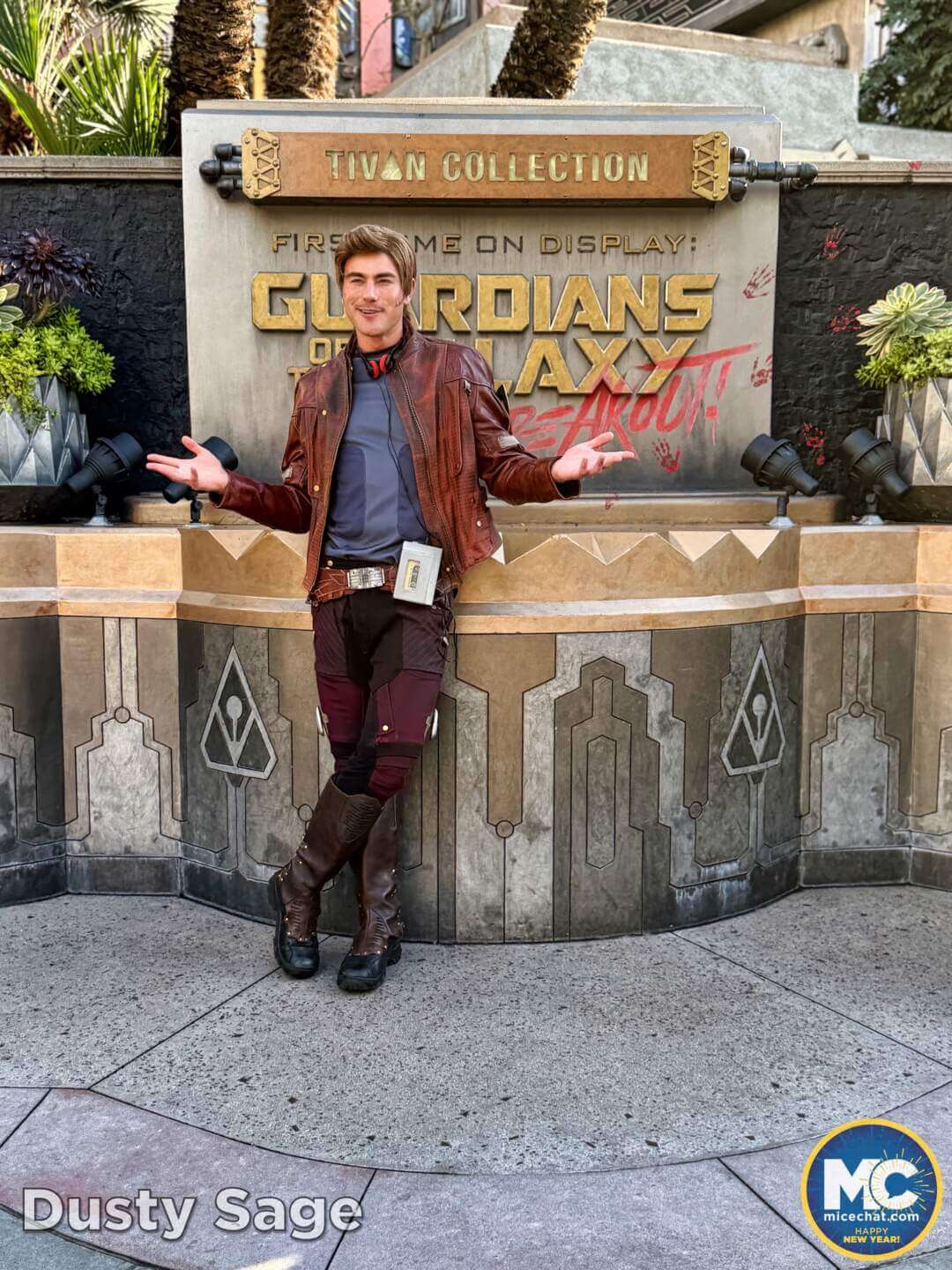 Disneyland, DISNEYLAND UPDATE: Soggy New Year, Perks Slashed & Blues Brewing