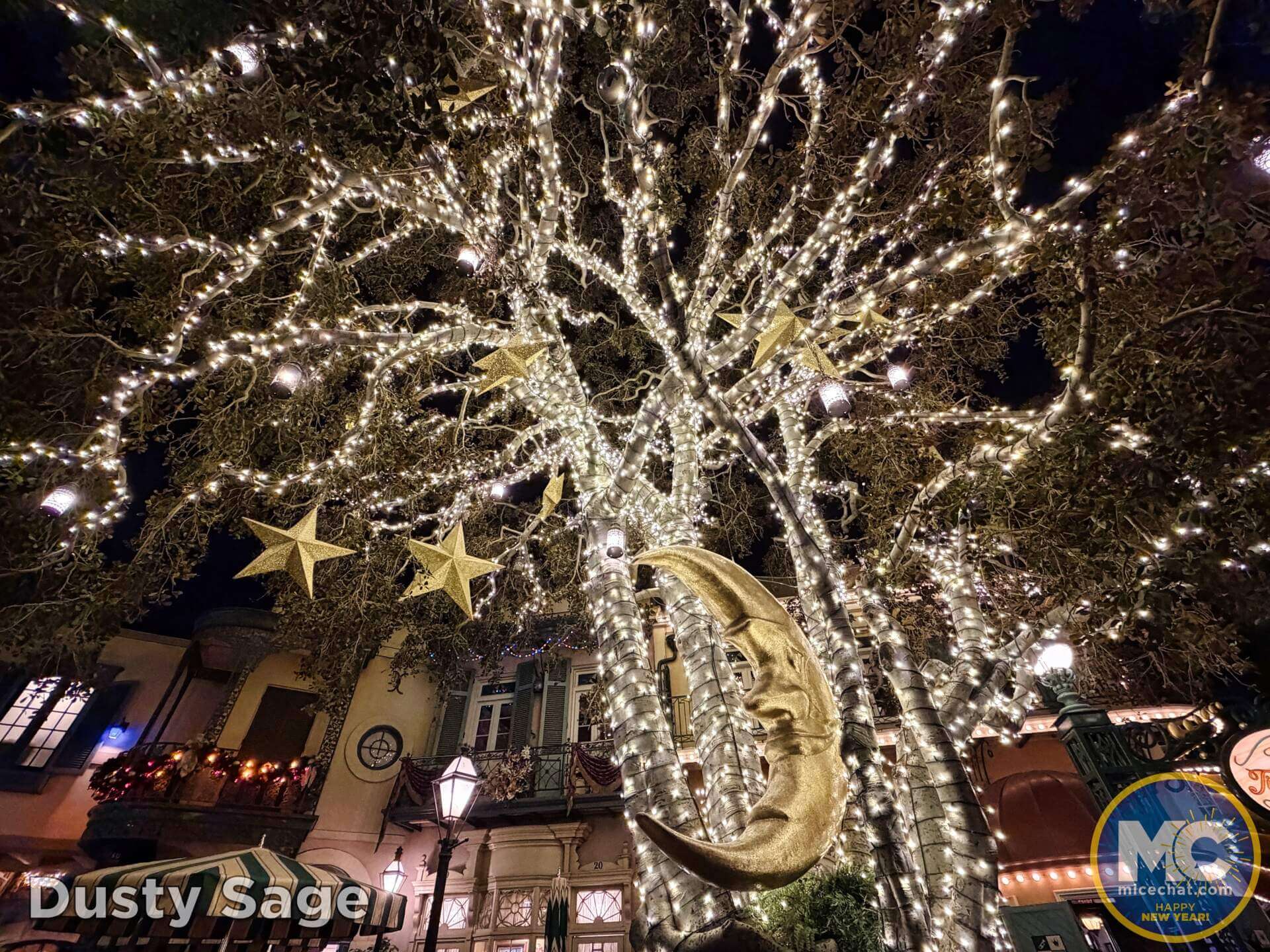 , DISNEYLAND UPDATE: Holiday Exit, Shoulder Season Scramble & Monorail Mishegoss