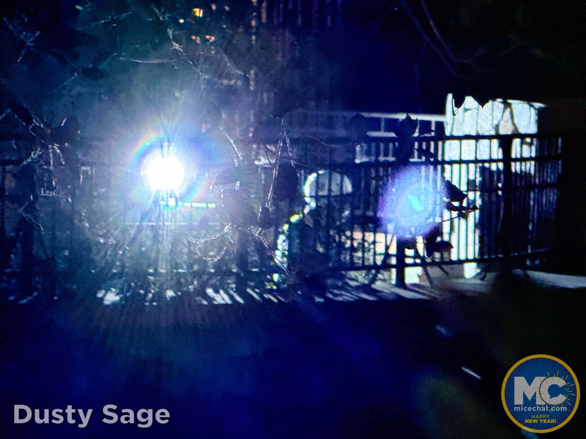 , DISNEYLAND UPDATE: Fixing the Force, Festival Season & What&rsquo;s Changing Now