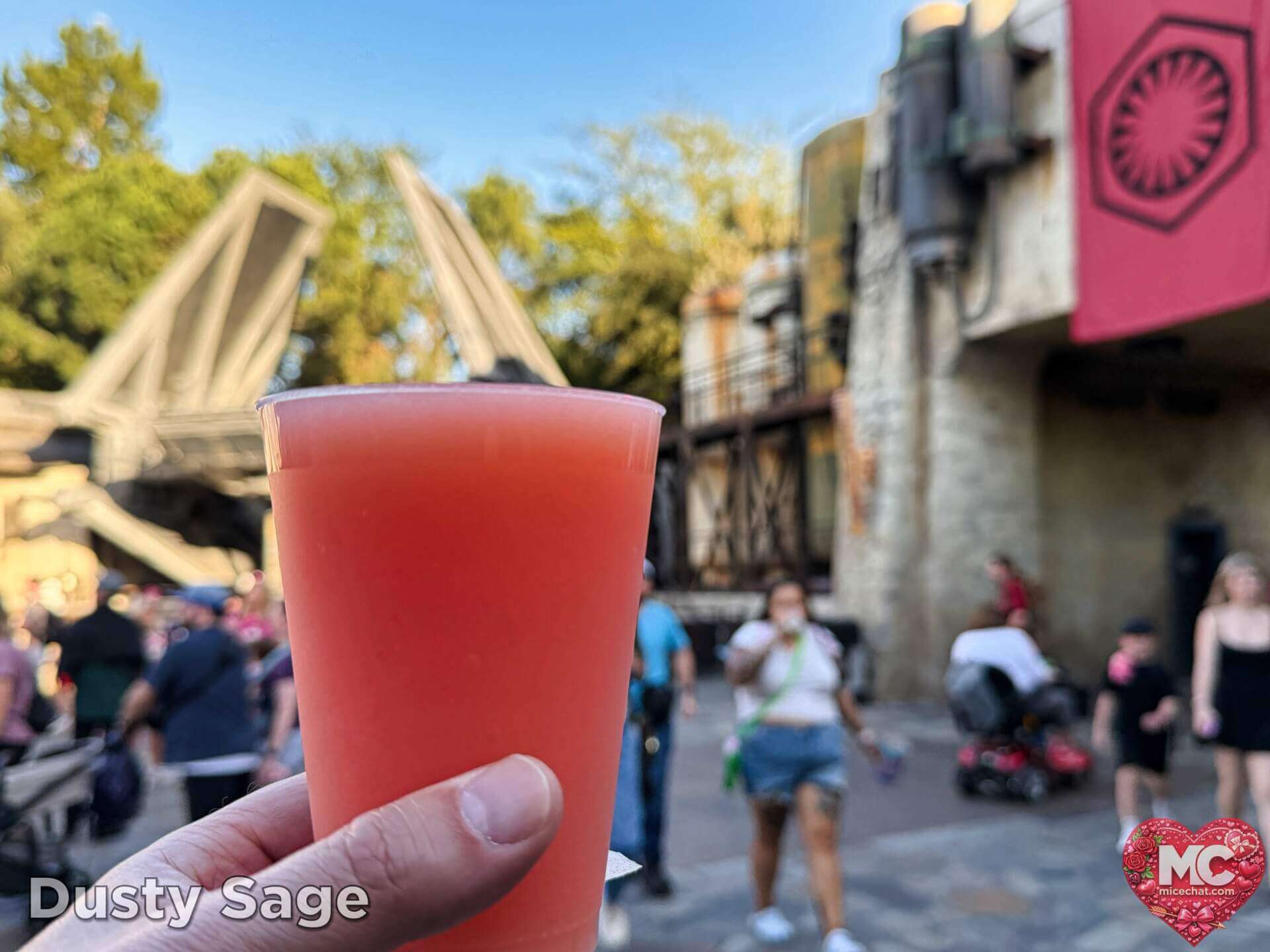 , DISNEYLAND UPDATE: Grogu Nights, Security Fights & Influencer Hype