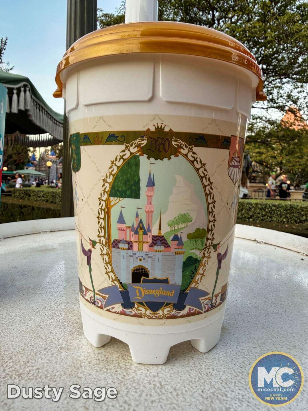 , DISNEYLAND UPDATE: Fixing the Force, Festival Season & What&rsquo;s Changing Now