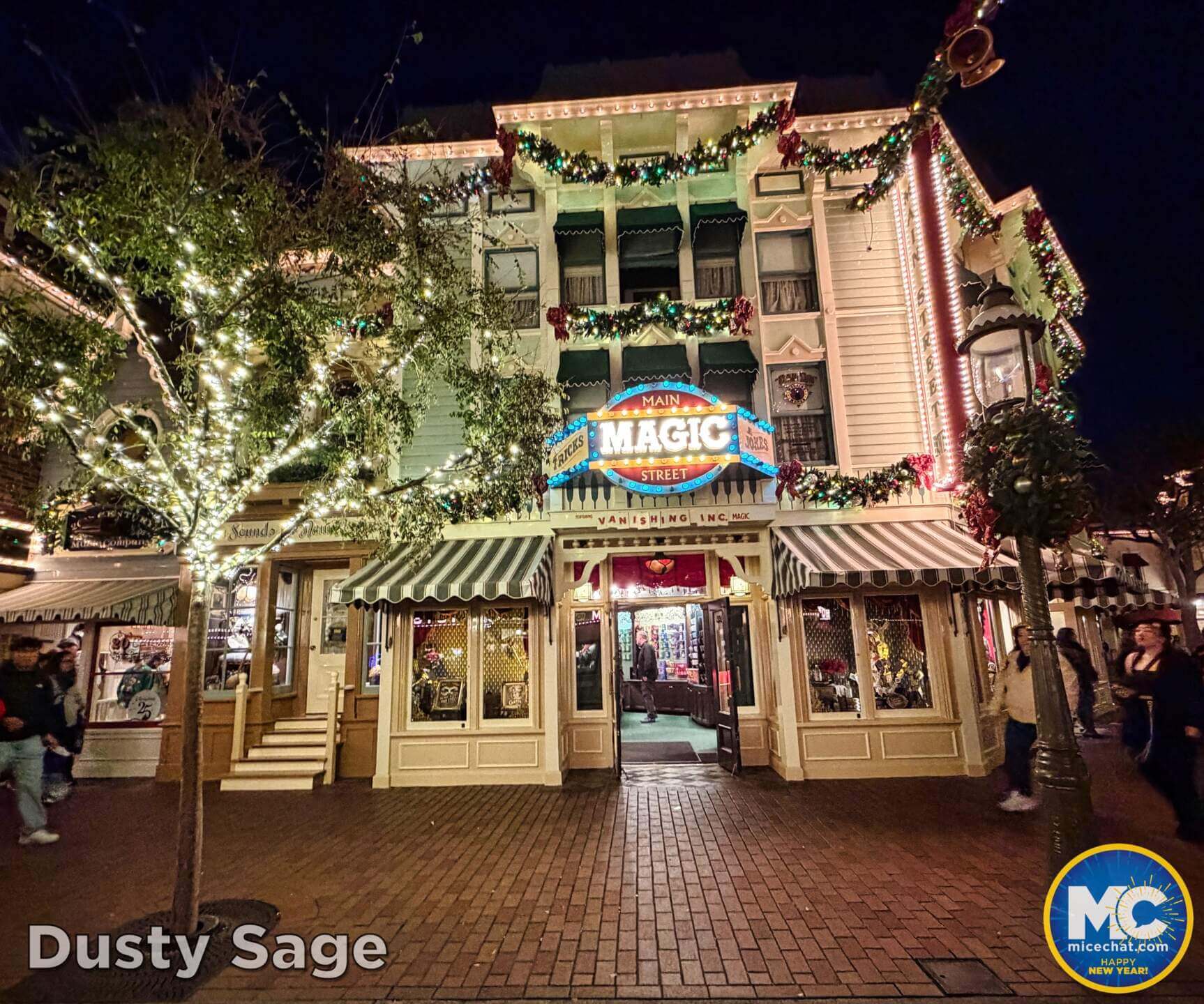 Disneyland, DISNEYLAND UPDATE: Soggy New Year, Perks Slashed & Blues Brewing
