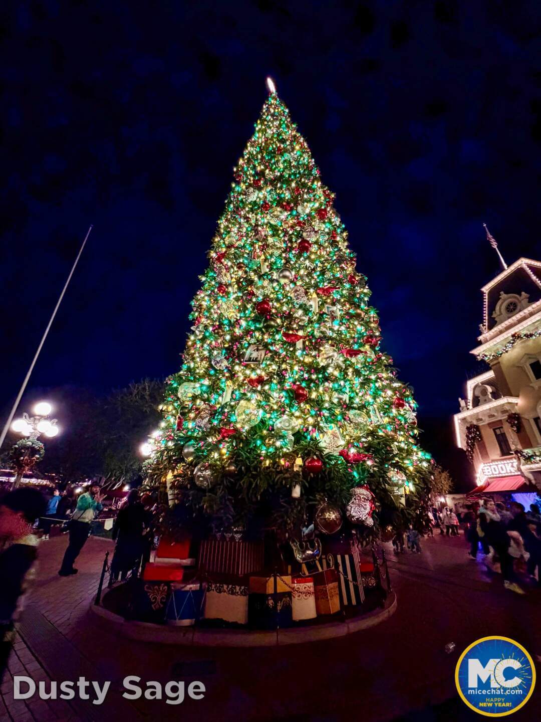 Disneyland, DISNEYLAND UPDATE: Soggy New Year, Perks Slashed & Blues Brewing