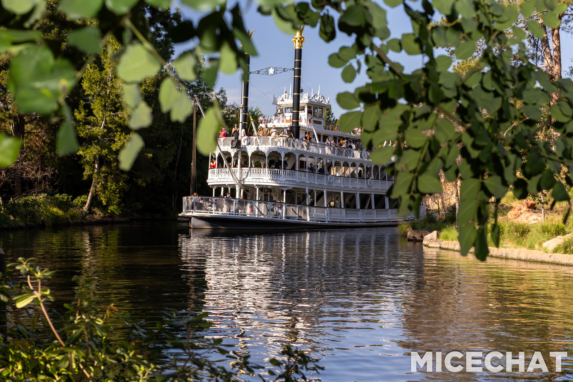 , DISNEYLAND UPDATE: CEO Shock, Napa Rose Reborn & DCA’s 25th Birthday Bash!