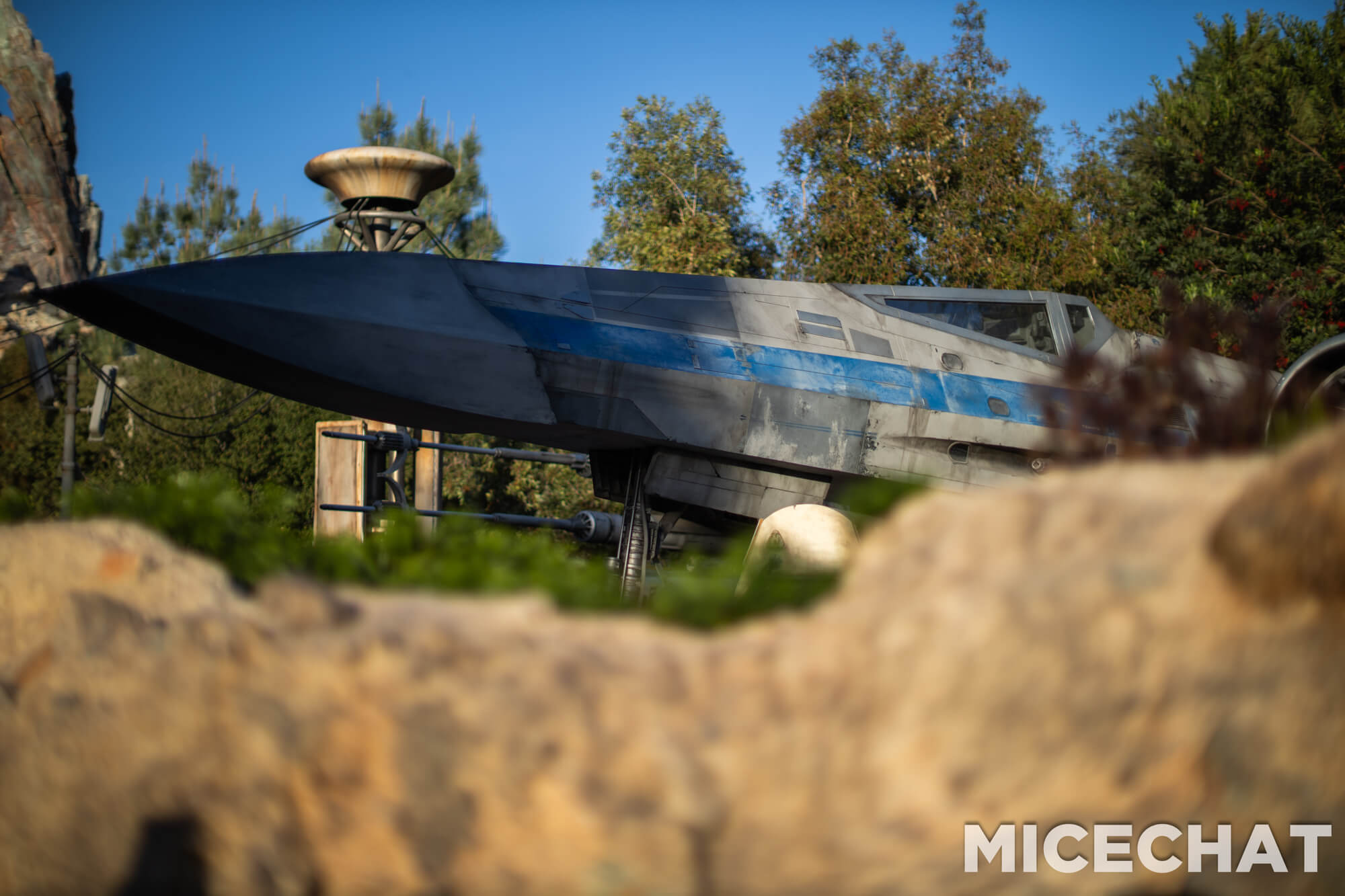 , DISNEYLAND UPDATE: CEO Shock, Napa Rose Reborn & DCA’s 25th Birthday Bash!