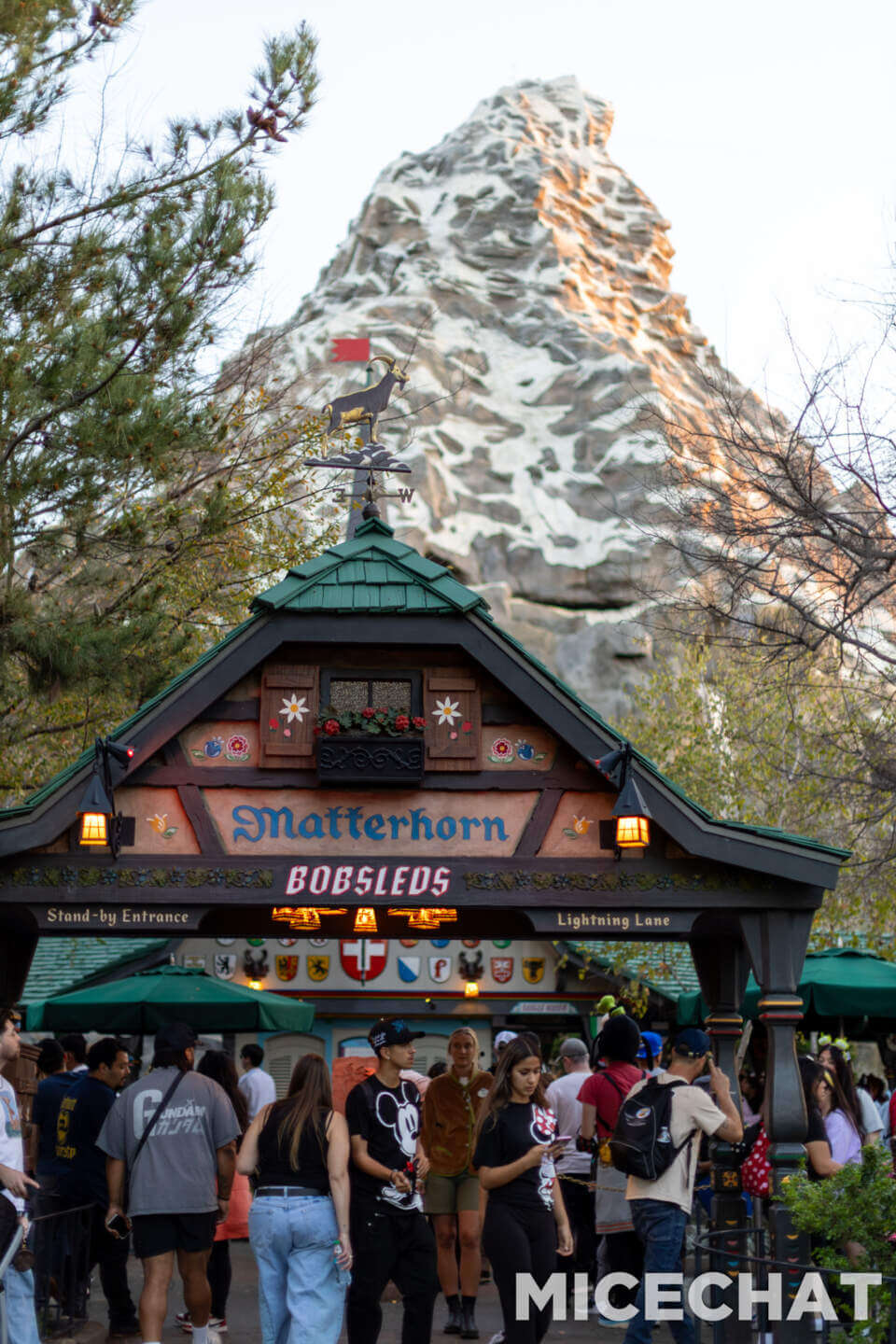 , DISNEYLAND UPDATE: CEO Shock, Napa Rose Reborn & DCA’s 25th Birthday Bash!