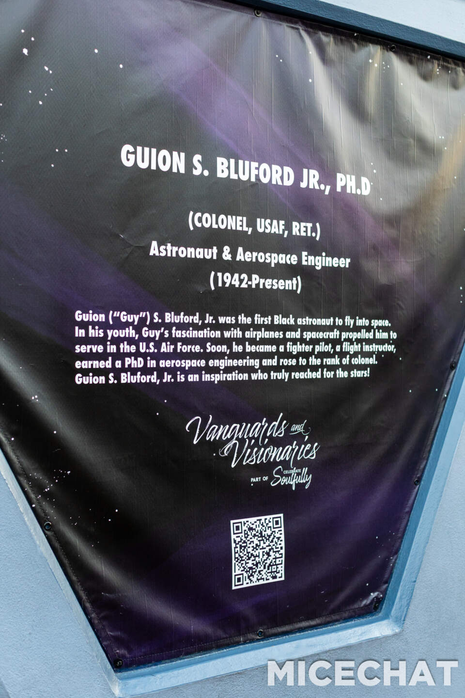 , DISNEYLAND UPDATE: CEO Shock, Napa Rose Reborn & DCA’s 25th Birthday Bash!