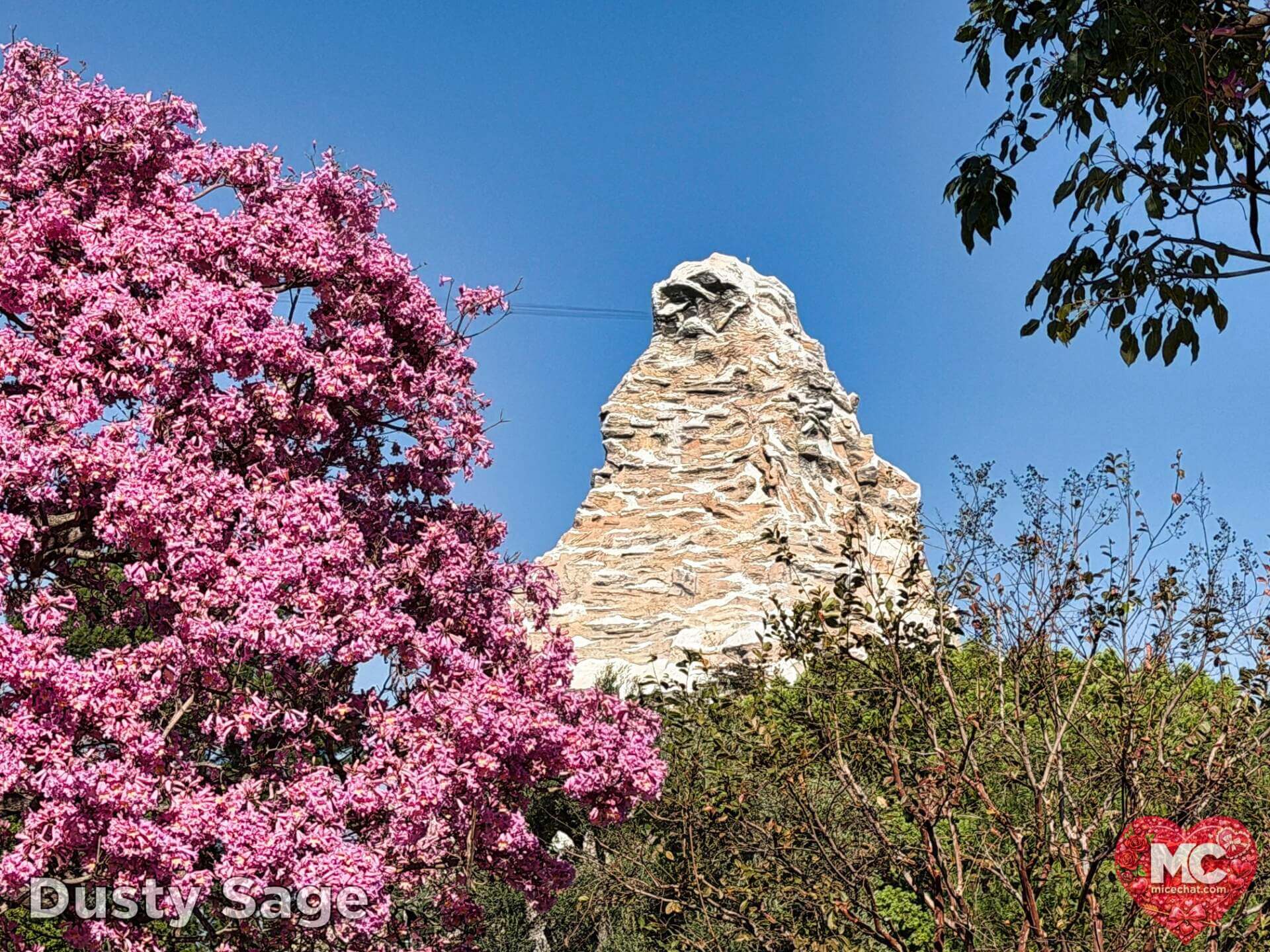 Disneyland Update, DISNEYLAND UPDATE: Sold-Out Parks, Opera House Split & Chaotic Construction