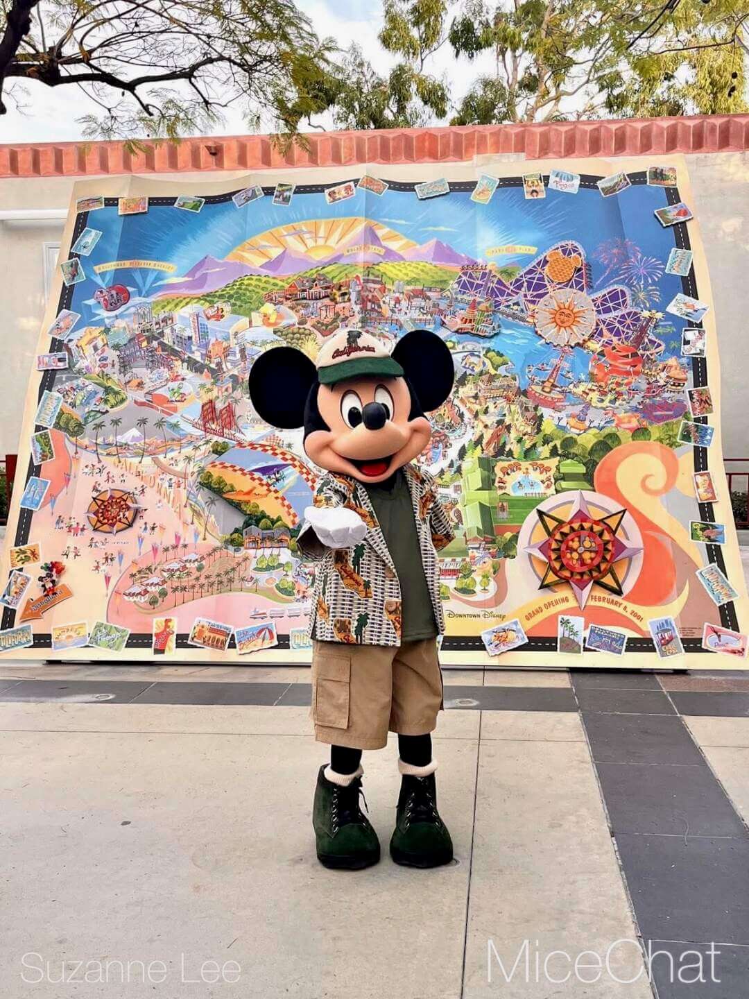 , DISNEYLAND UPDATE: CEO Shock, Napa Rose Reborn & DCA’s 25th Birthday Bash!