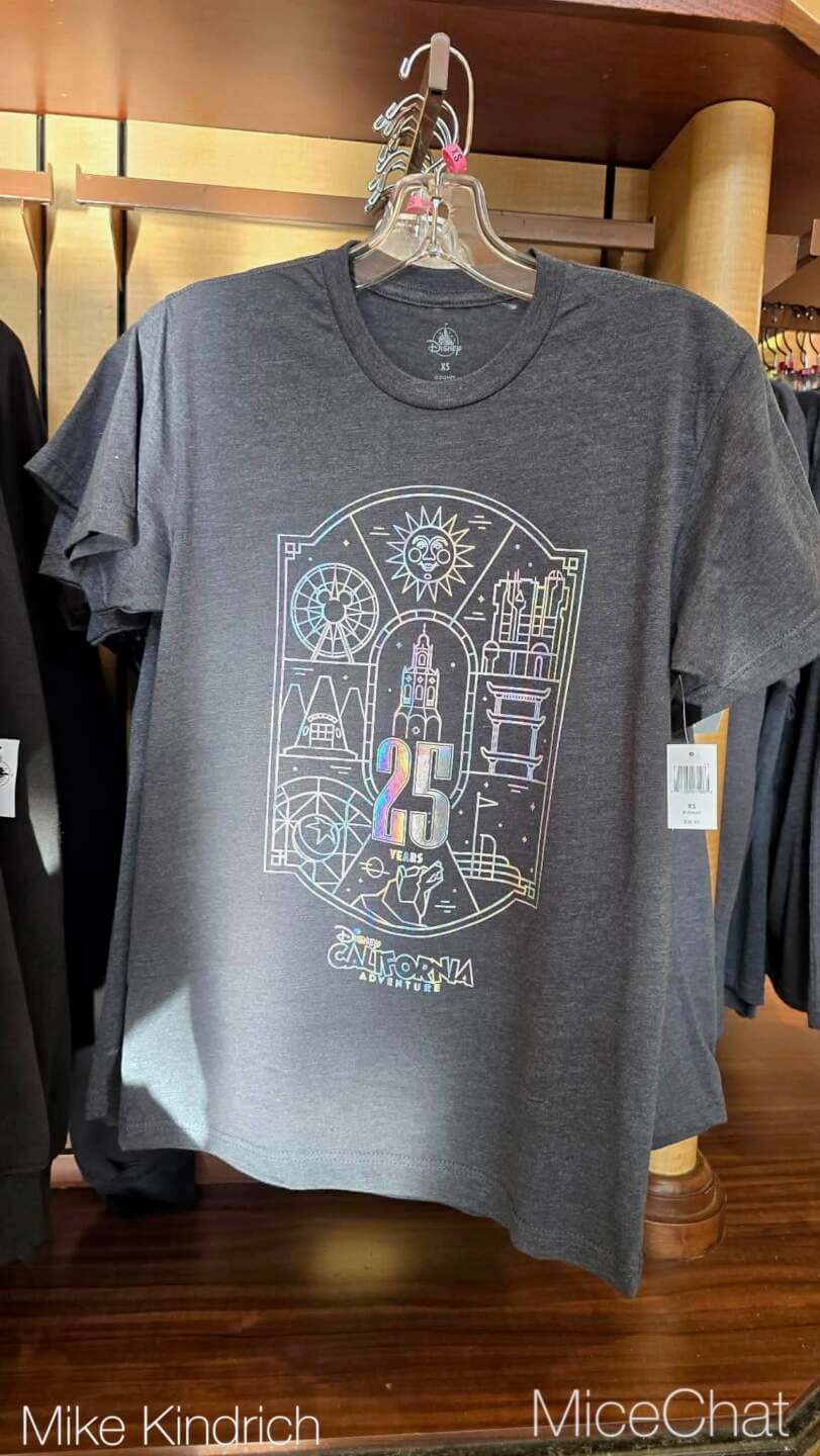 , DISNEYLAND UPDATE: CEO Shock, Napa Rose Reborn & DCA’s 25th Birthday Bash!