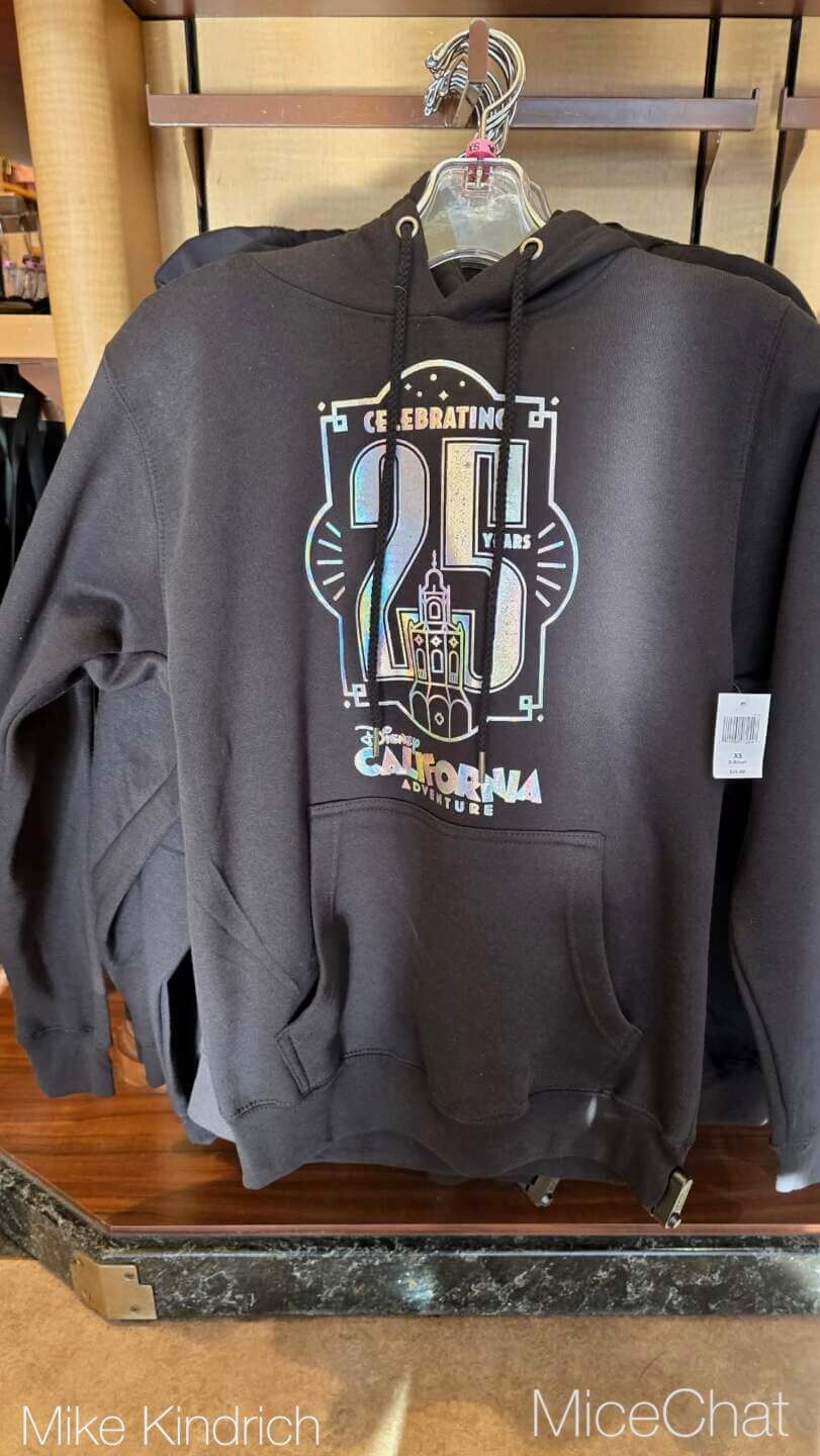 , DISNEYLAND UPDATE: CEO Shock, Napa Rose Reborn & DCA’s 25th Birthday Bash!