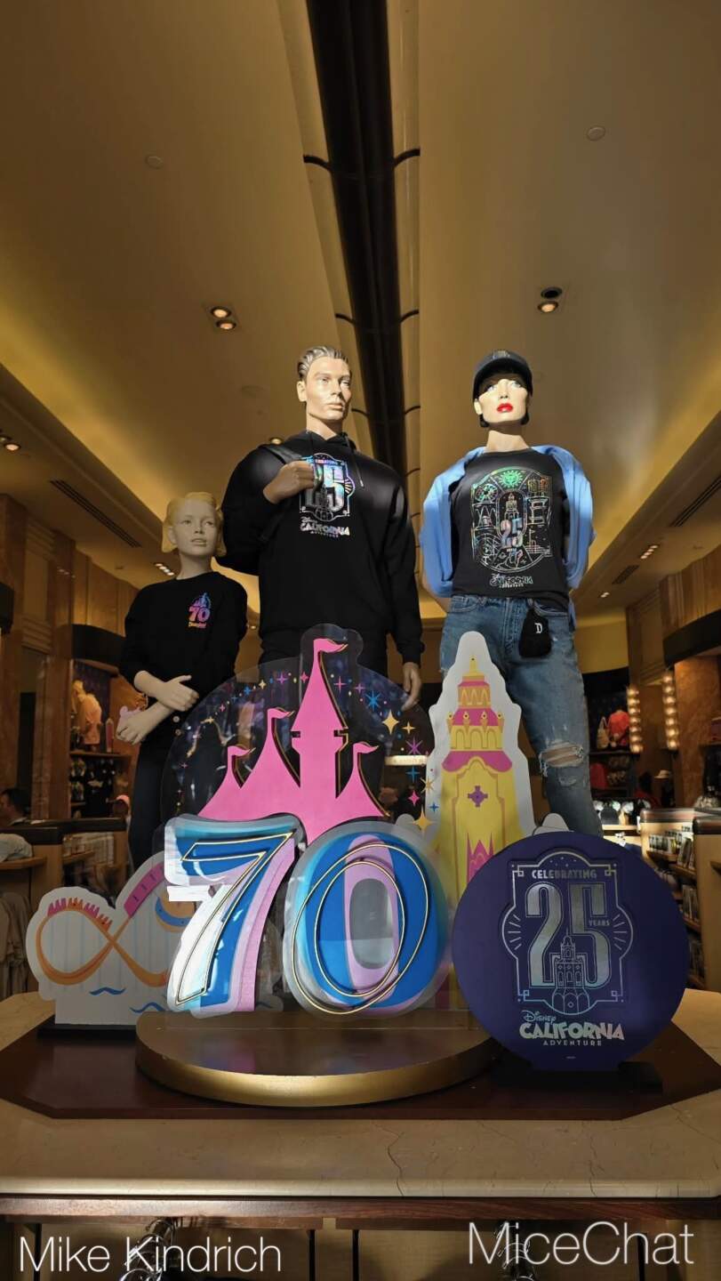 , DISNEYLAND UPDATE: CEO Shock, Napa Rose Reborn & DCA’s 25th Birthday Bash!