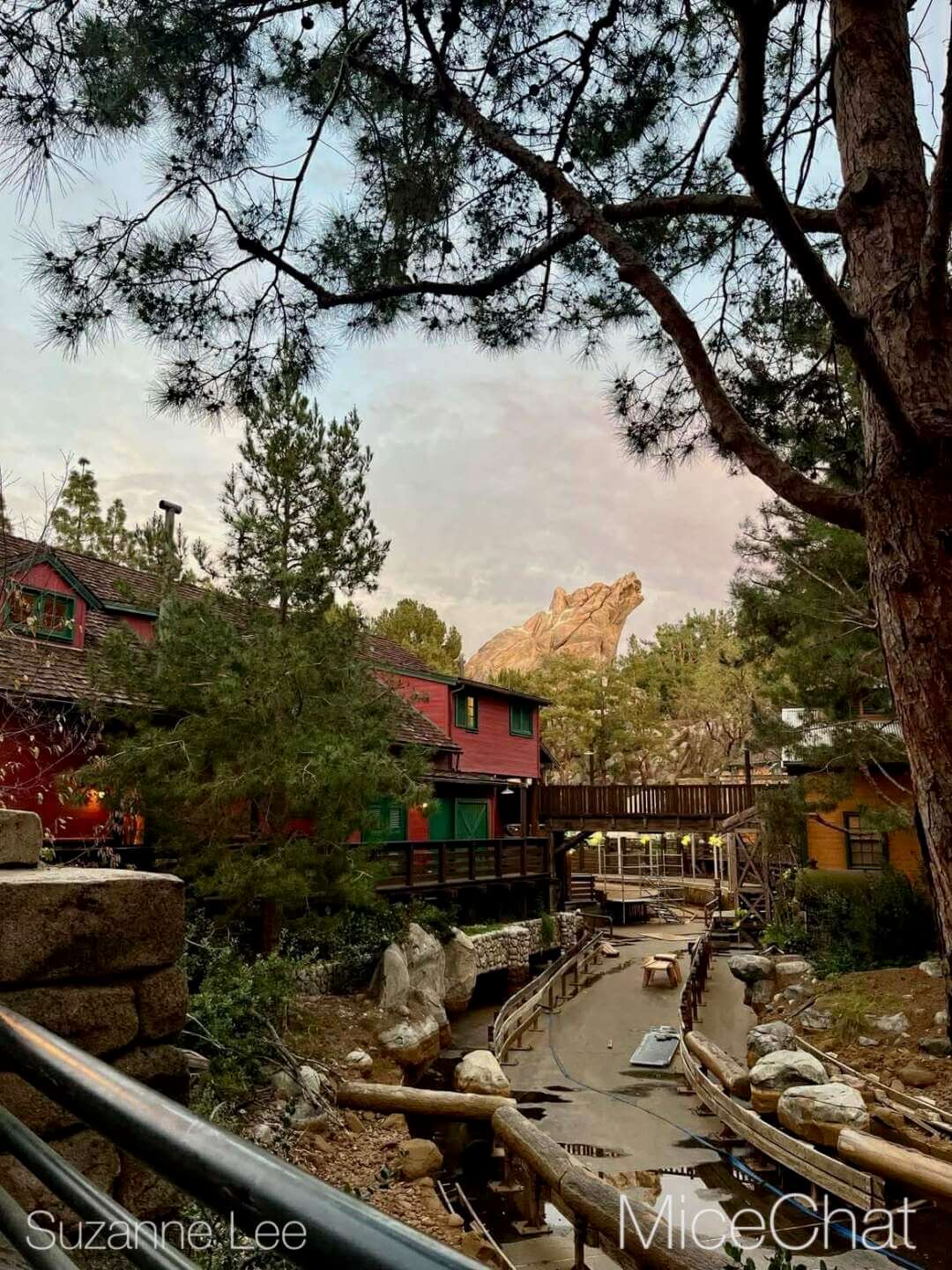 , DISNEYLAND UPDATE: CEO Shock, Napa Rose Reborn & DCA’s 25th Birthday Bash!