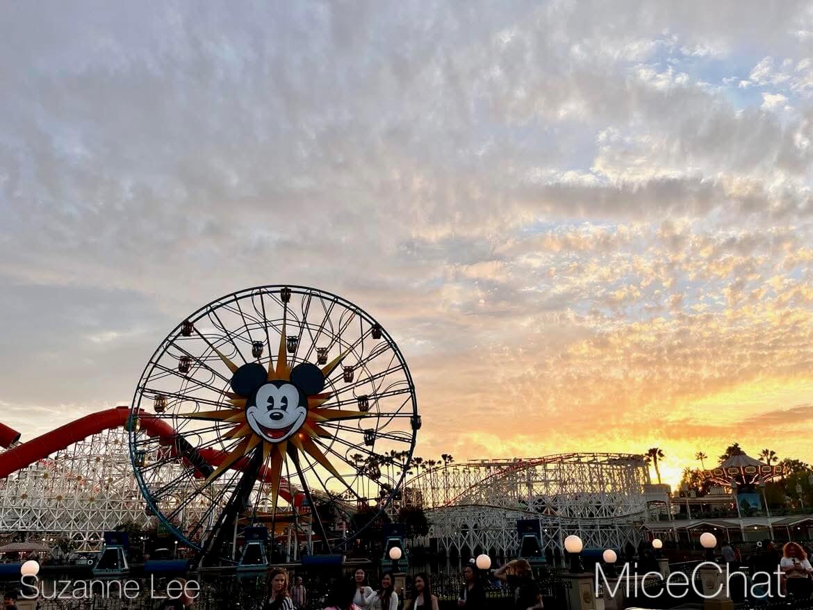 , DISNEYLAND UPDATE: CEO Shock, Napa Rose Reborn & DCA’s 25th Birthday Bash!