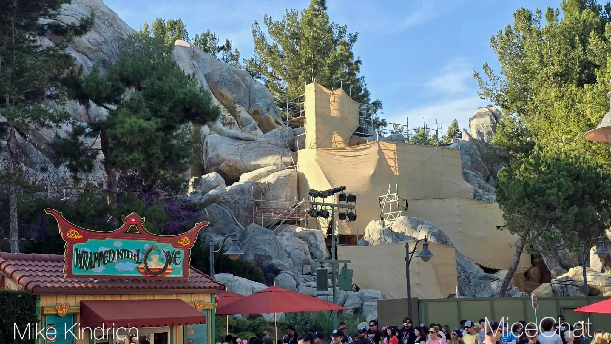 , DISNEYLAND UPDATE: CEO Shock, Napa Rose Reborn & DCA’s 25th Birthday Bash!