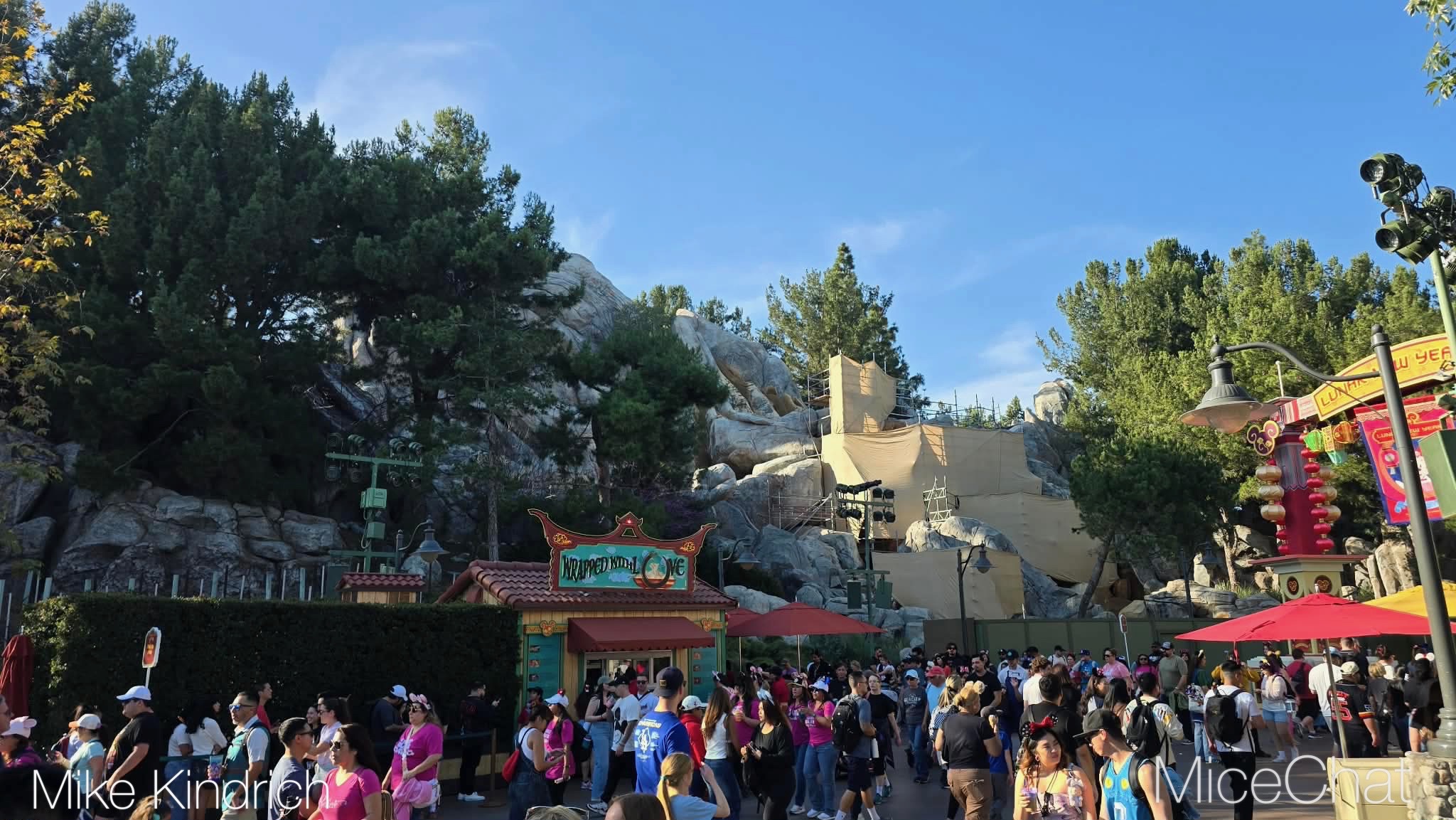 , DISNEYLAND UPDATE: CEO Shock, Napa Rose Reborn & DCA’s 25th Birthday Bash!