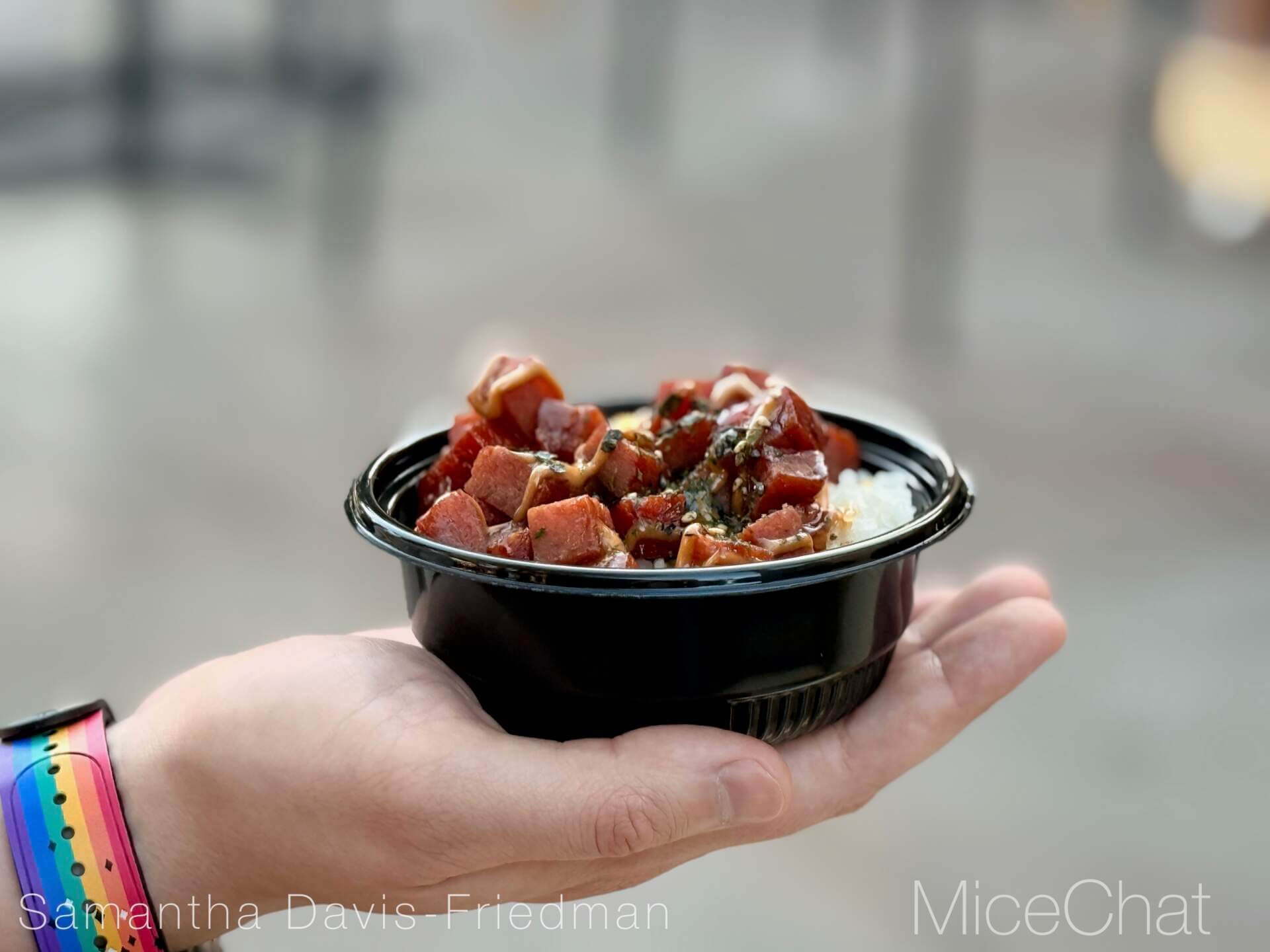 Disneyland Update, DISNEYLAND UPDATE: Costly Cutbacks, Food Fumbles & After Dark Disappointment