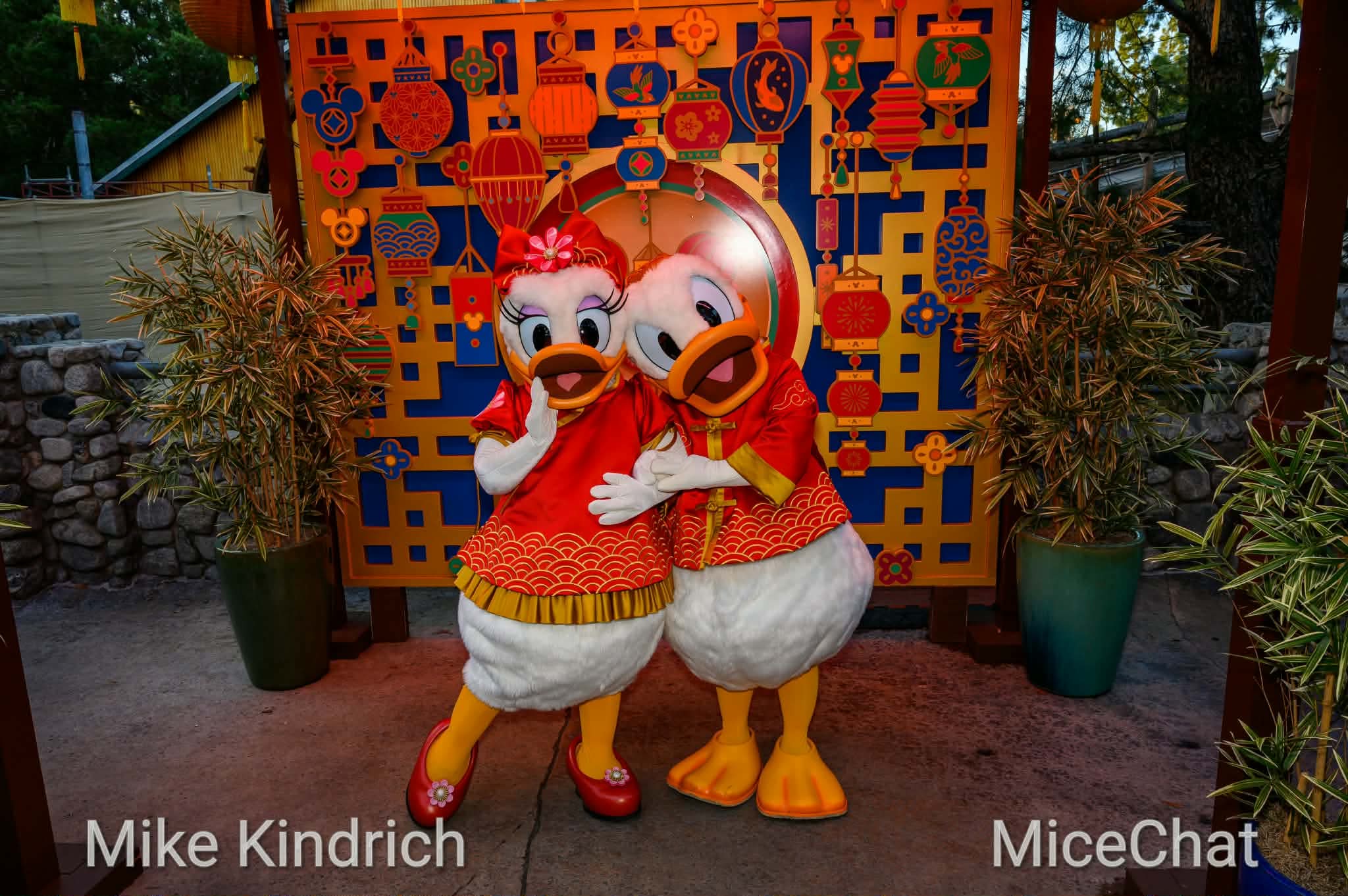 , DISNEYLAND UPDATE: CEO Shock, Napa Rose Reborn & DCA’s 25th Birthday Bash!