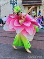 DCA-Lunar-New-Year-4