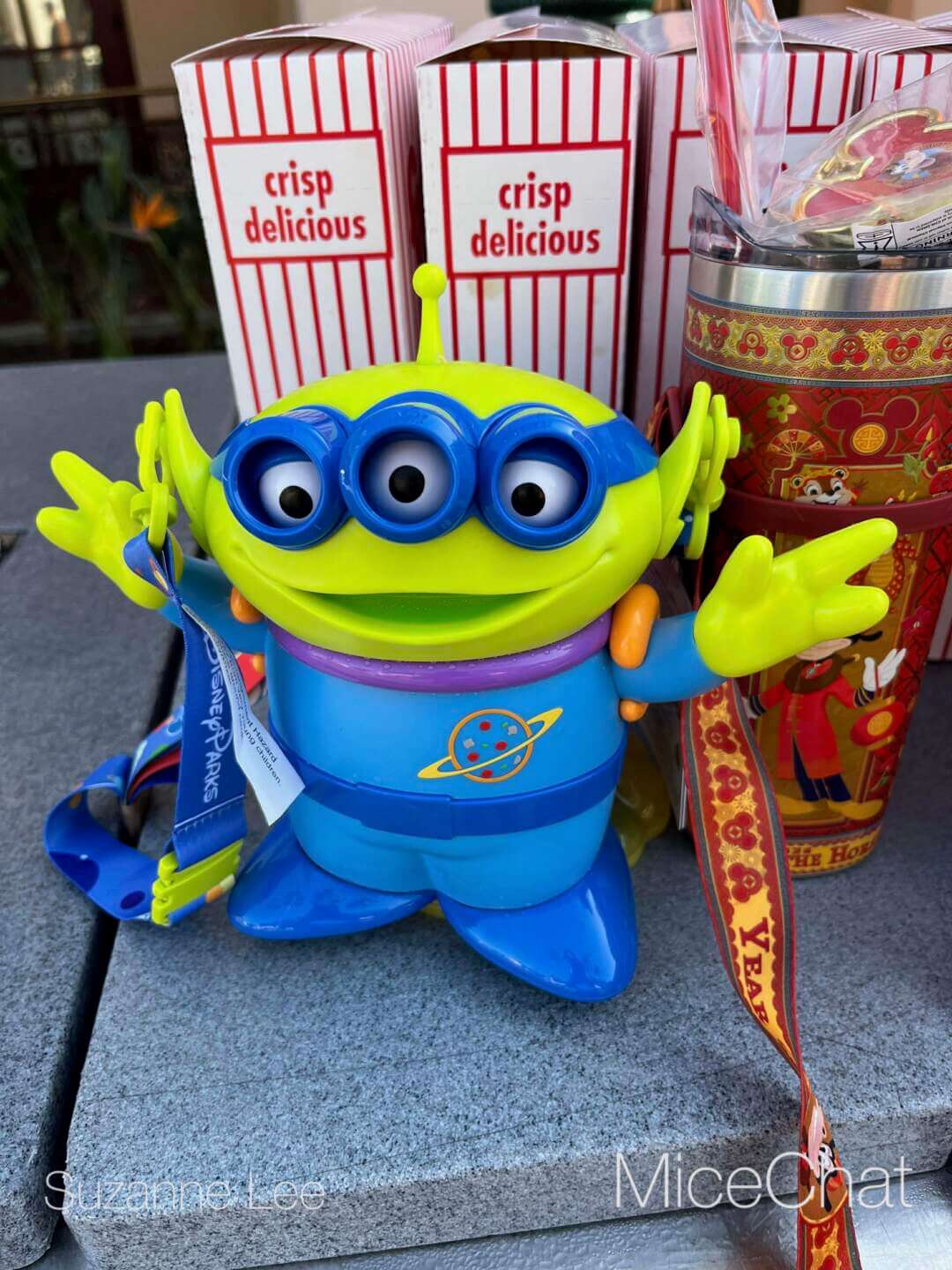 , DISNEYLAND UPDATE: CEO Shock, Napa Rose Reborn & DCA’s 25th Birthday Bash!