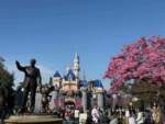 DLR-Castle-Beauty