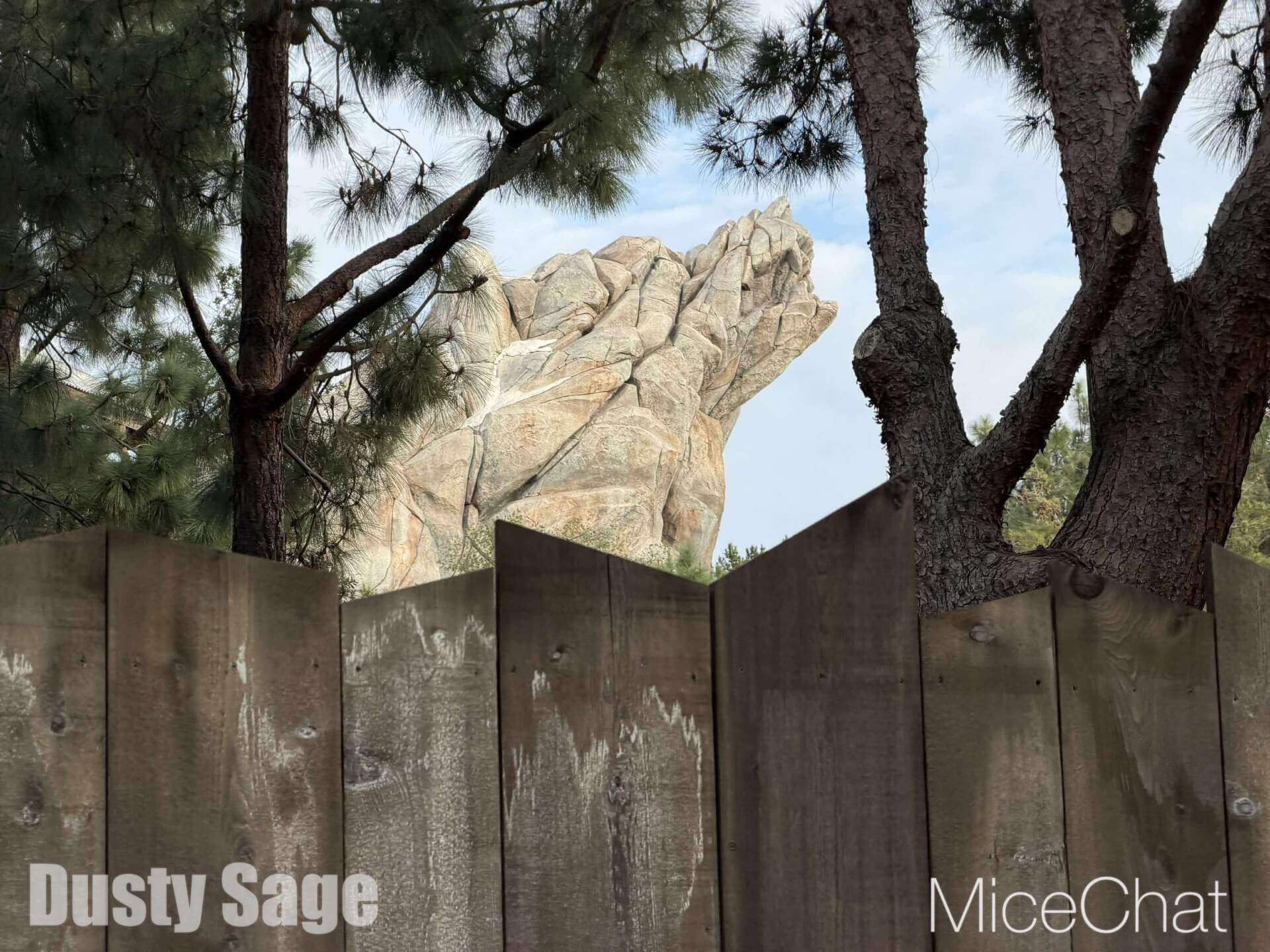 , DISNEYLAND UPDATE: CEO Shock, Napa Rose Reborn & DCA’s 25th Birthday Bash!