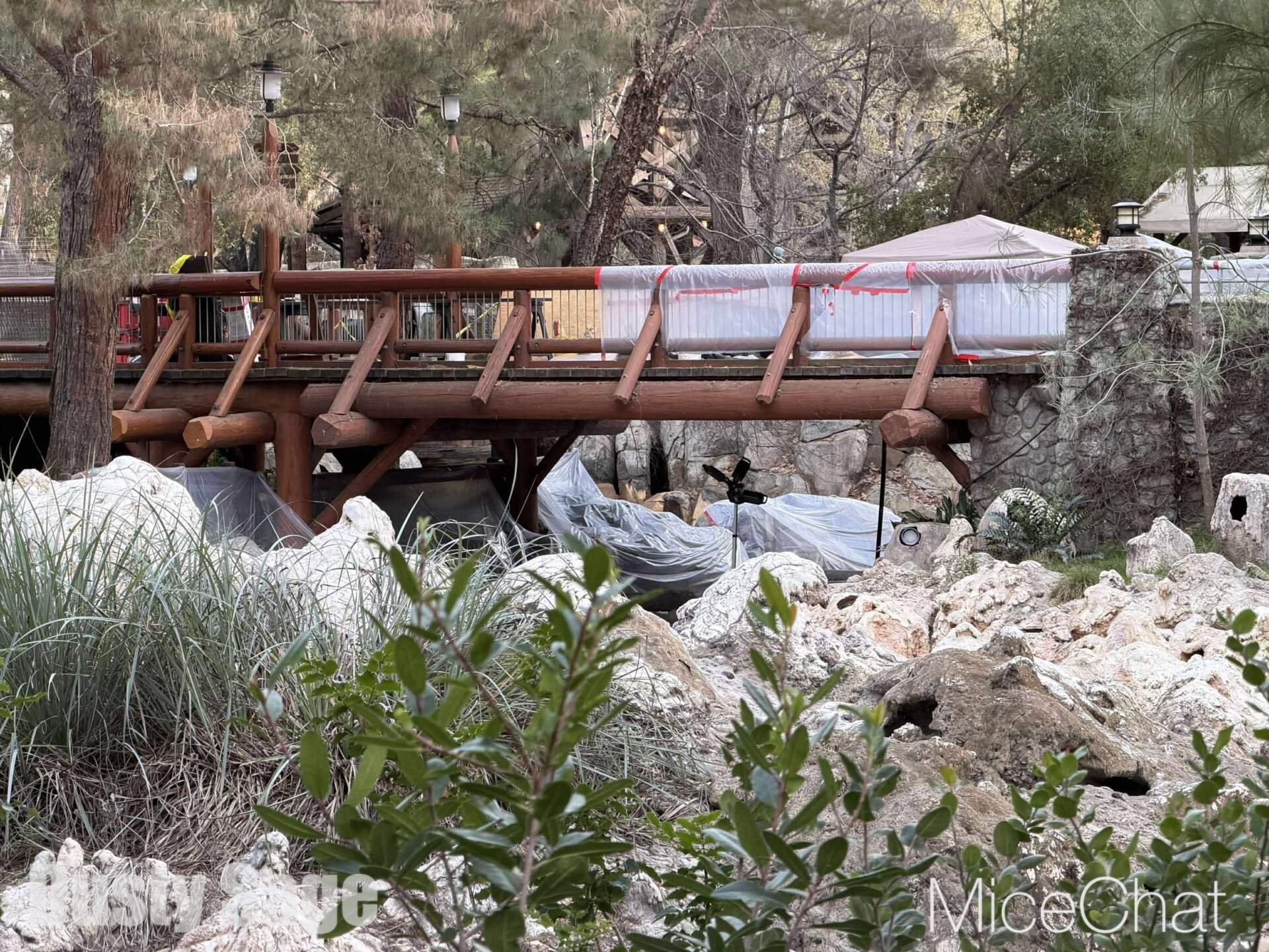 , DISNEYLAND UPDATE: CEO Shock, Napa Rose Reborn & DCA’s 25th Birthday Bash!