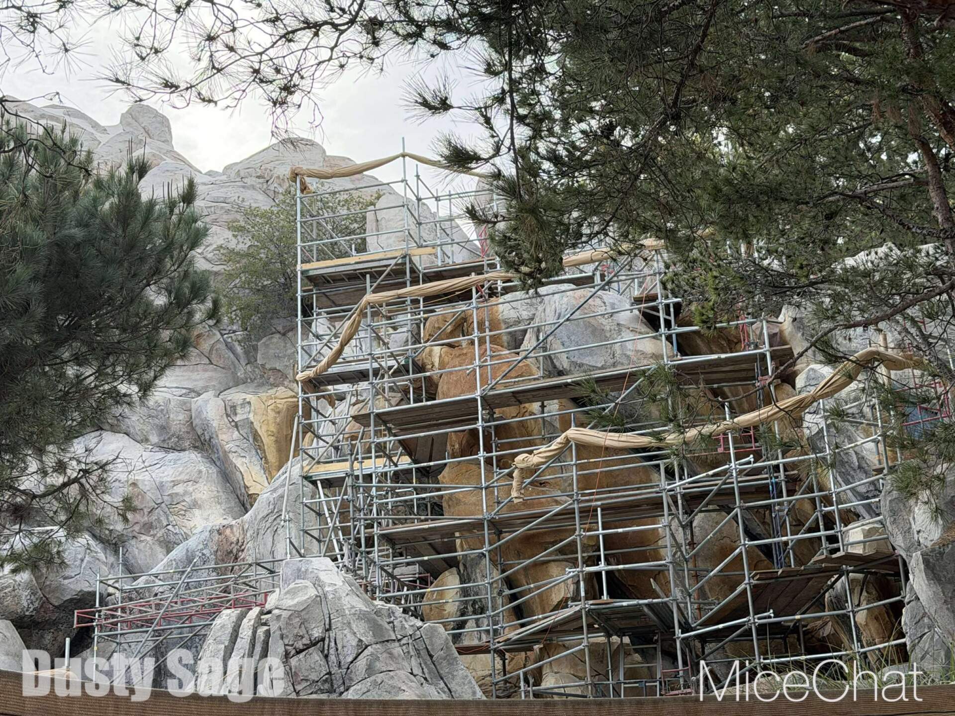 , DISNEYLAND UPDATE: CEO Shock, Napa Rose Reborn & DCA’s 25th Birthday Bash!