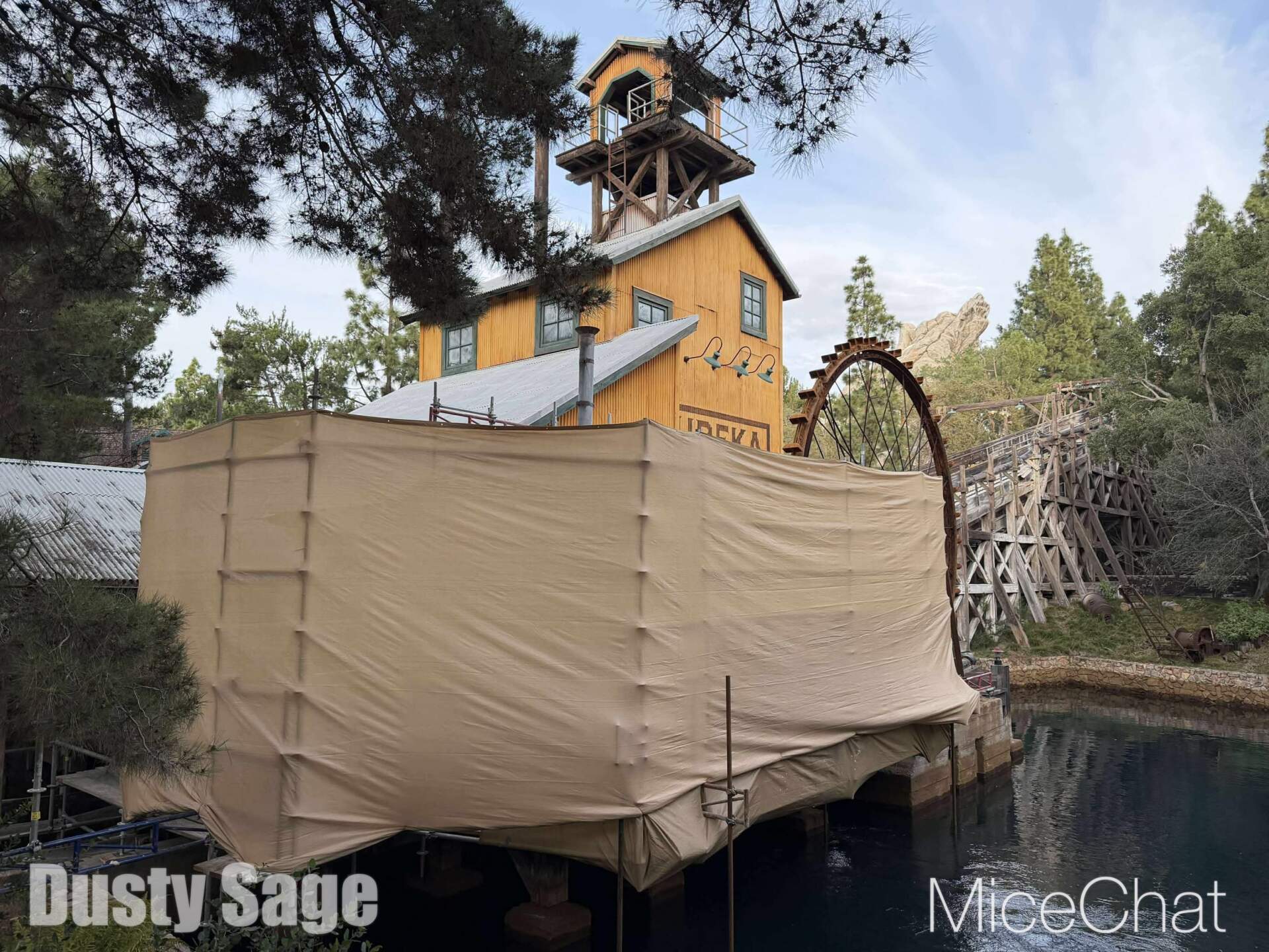 , DISNEYLAND UPDATE: CEO Shock, Napa Rose Reborn & DCA’s 25th Birthday Bash!