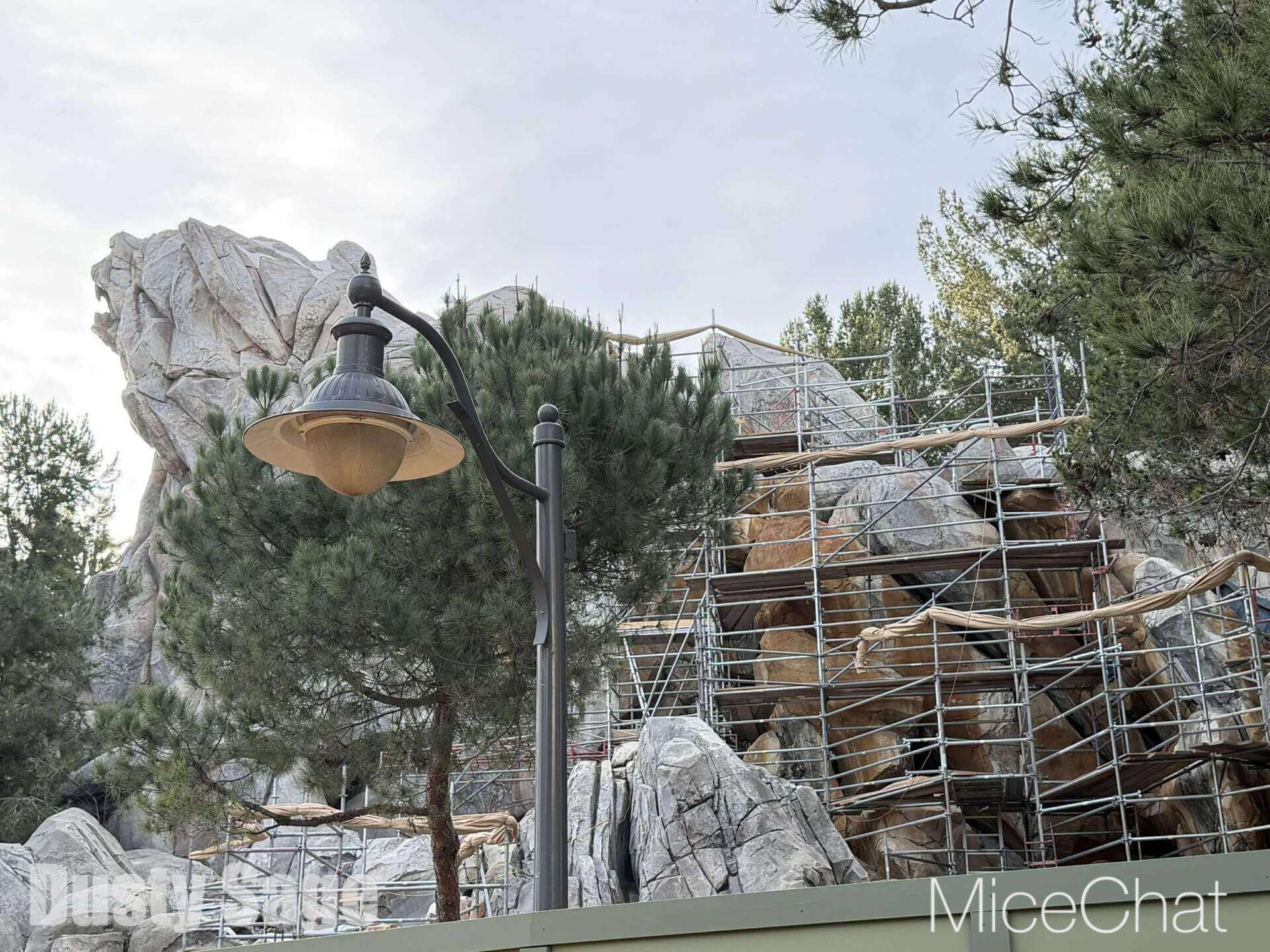 , DISNEYLAND UPDATE: CEO Shock, Napa Rose Reborn & DCA’s 25th Birthday Bash!