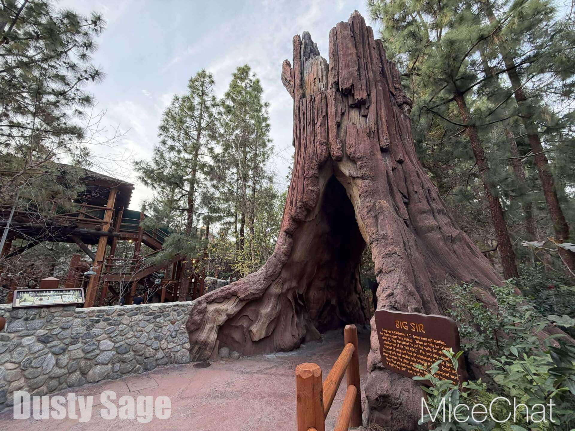 , DISNEYLAND UPDATE: CEO Shock, Napa Rose Reborn & DCA’s 25th Birthday Bash!